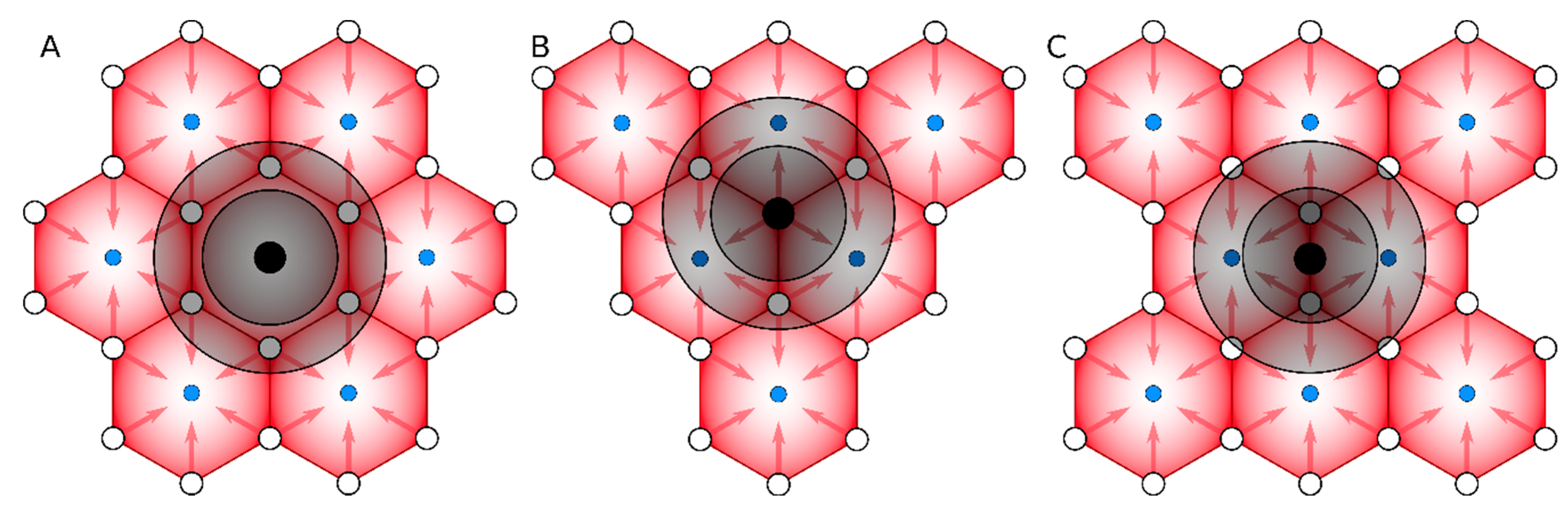 Pharmaceutics 13 00703 g001