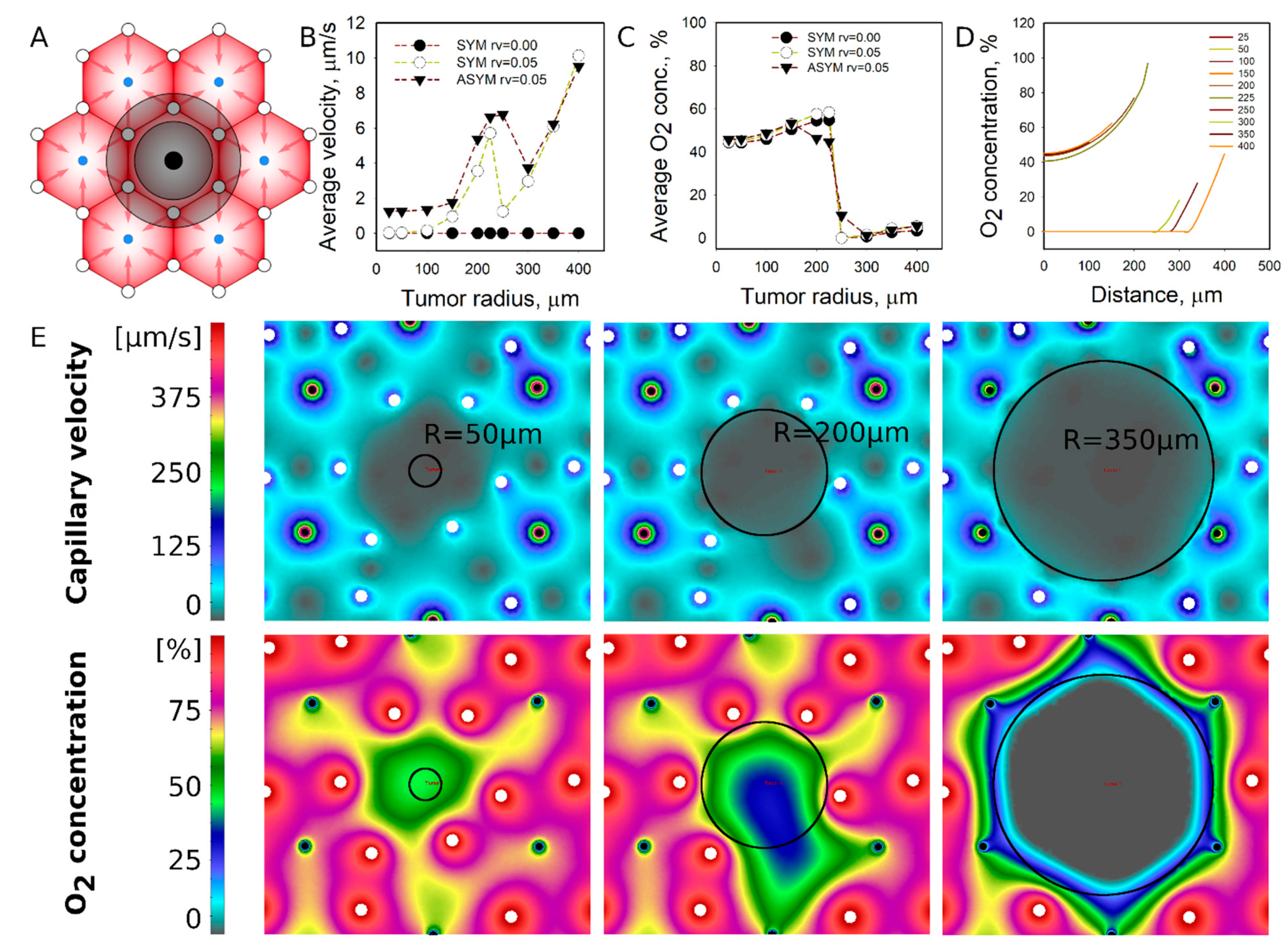 Pharmaceutics 13 00703 g002