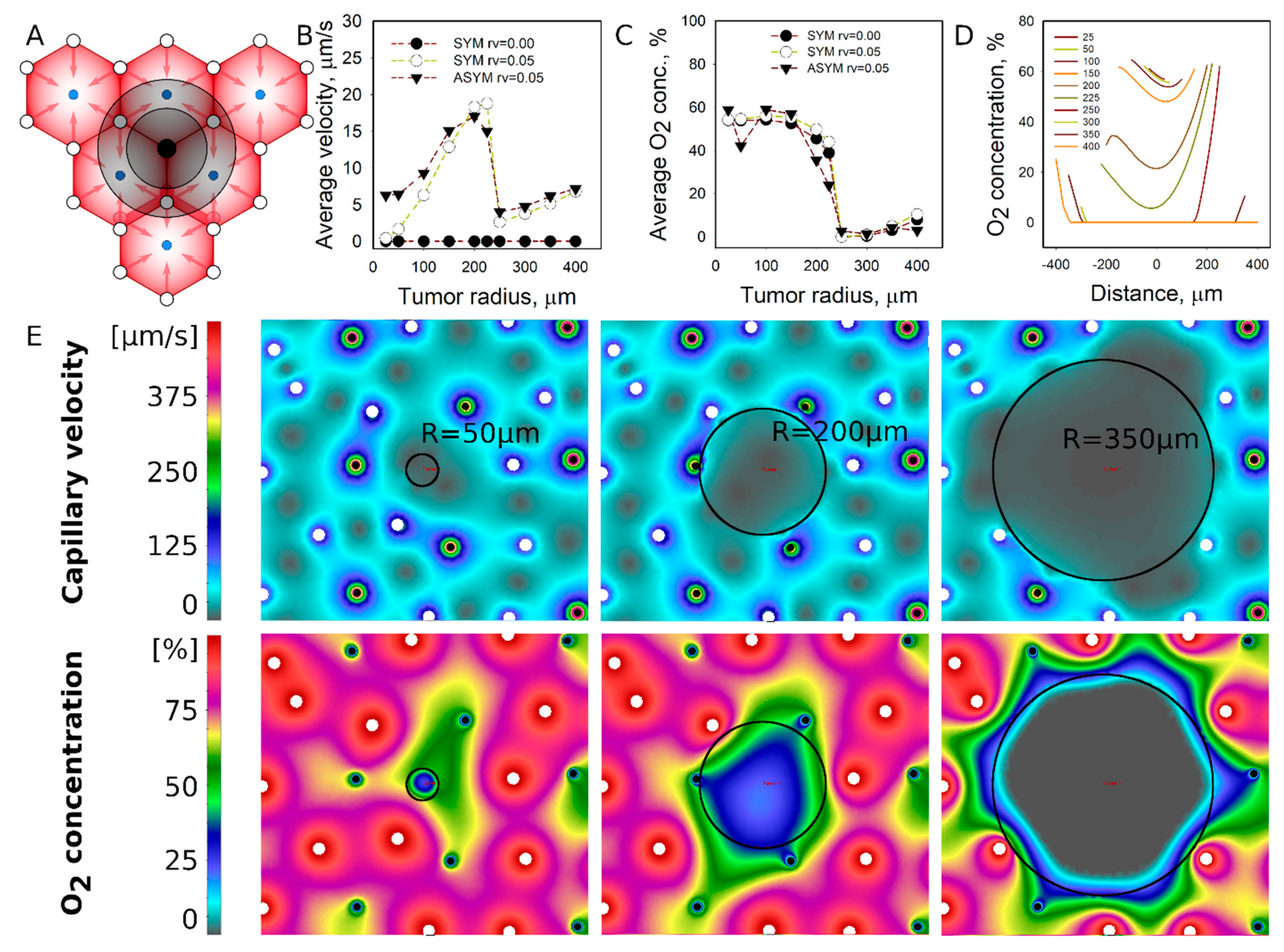 Pharmaceutics 13 00703 g003
