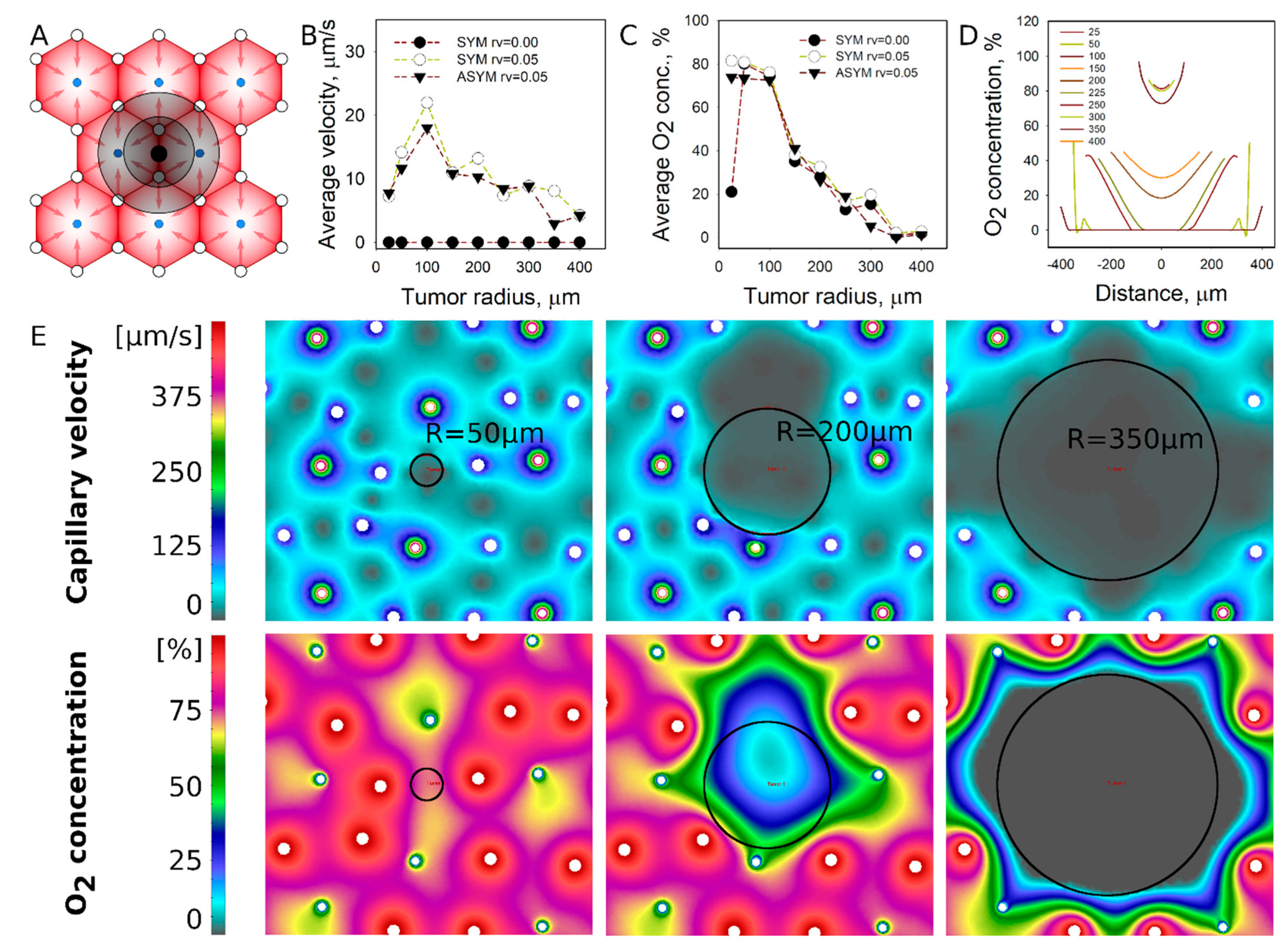 Pharmaceutics 13 00703 g004