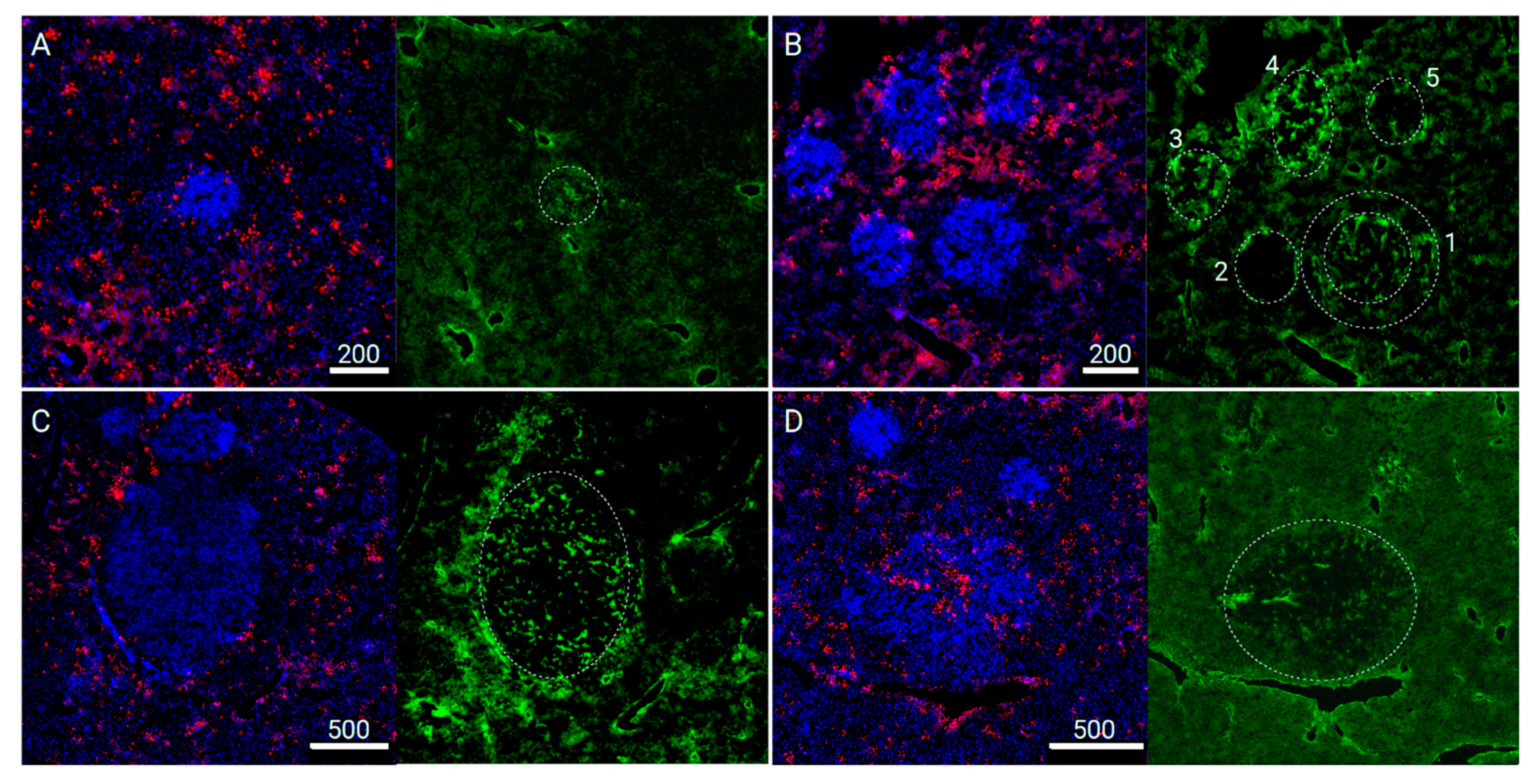 Pharmaceutics 13 00703 g005