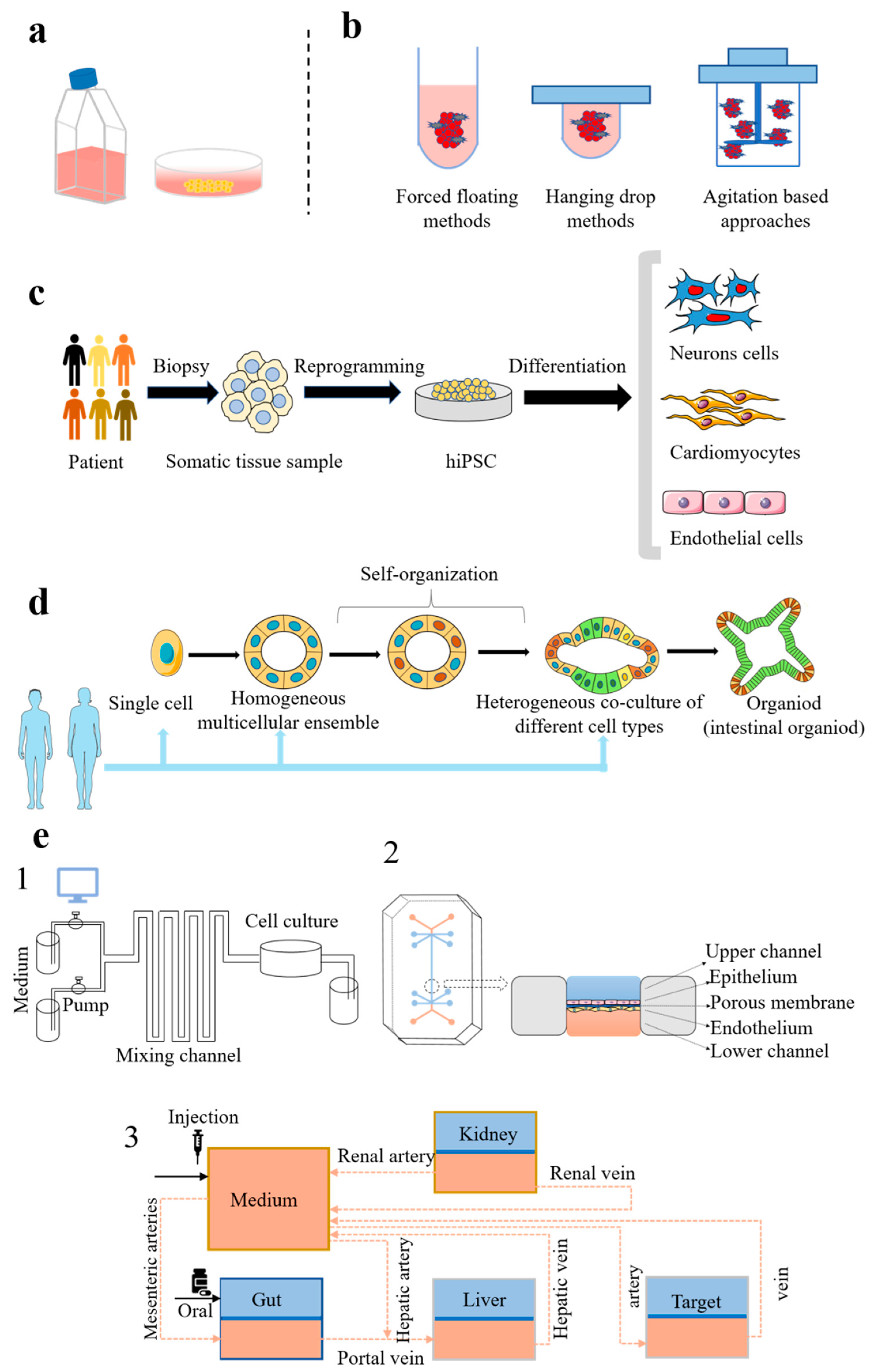 Pharmaceutics 13 00704 g002