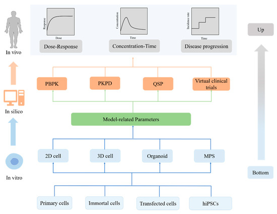 The Combination of Cell Cultured Technology and In Silico Model to ...