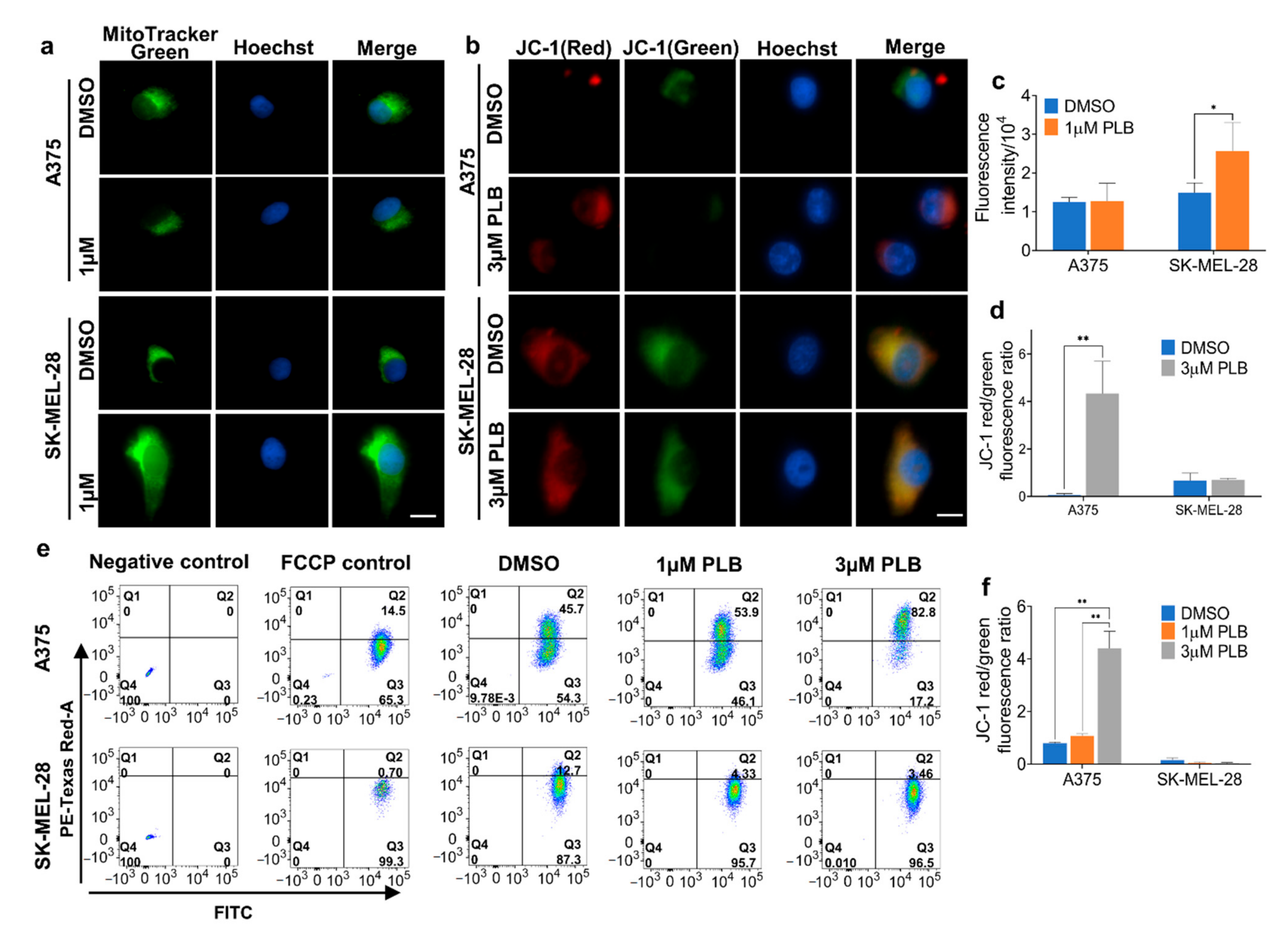 Pharmaceutics 13 00706 g007 Pharmaceutics 13 00706 g007