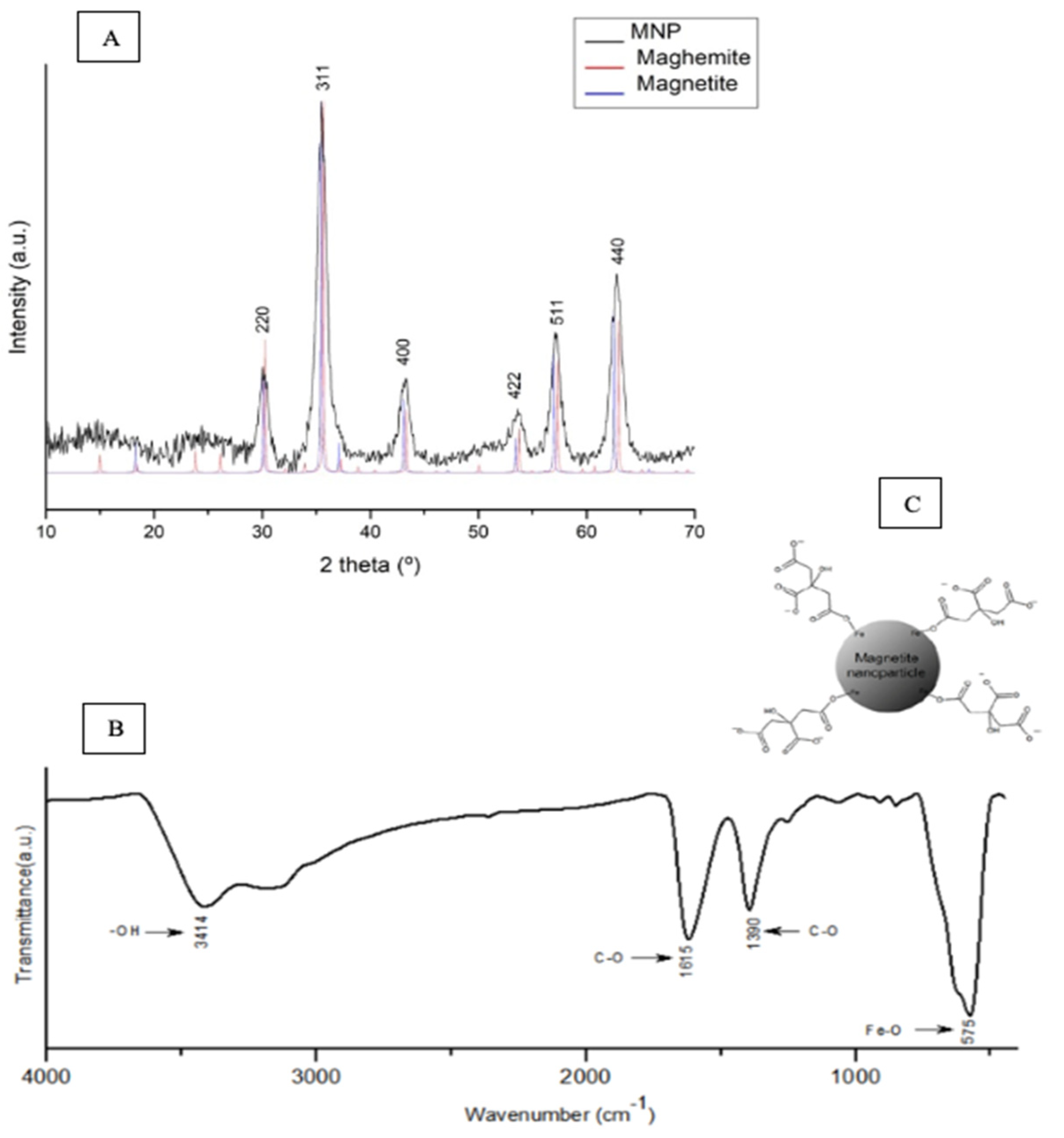 Pharmaceutics 13 00712 g001 Pharmaceutics 13 00712 g001