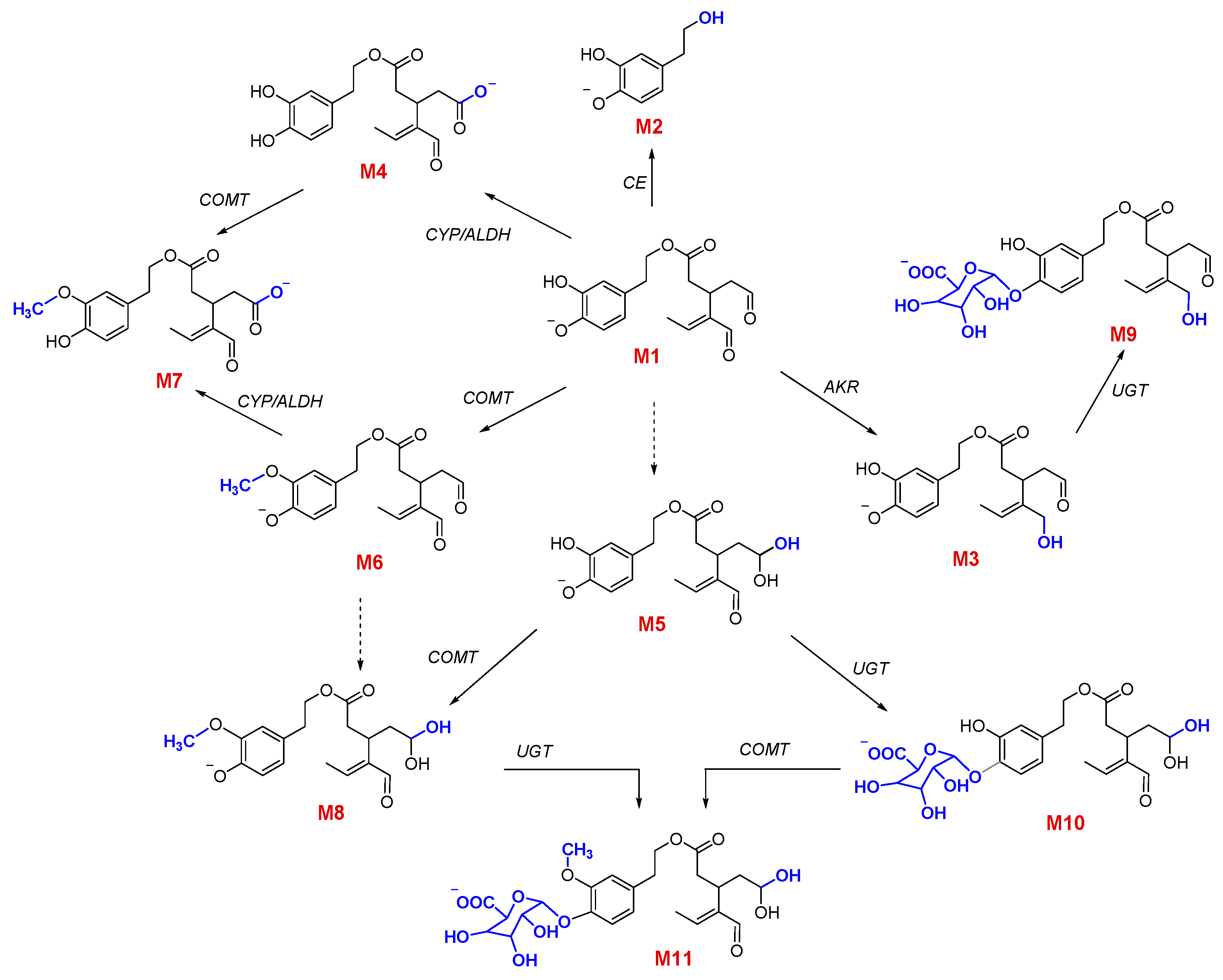 Pharmaceutics 13 00719 g002 Pharmaceutics 13 00719 g002