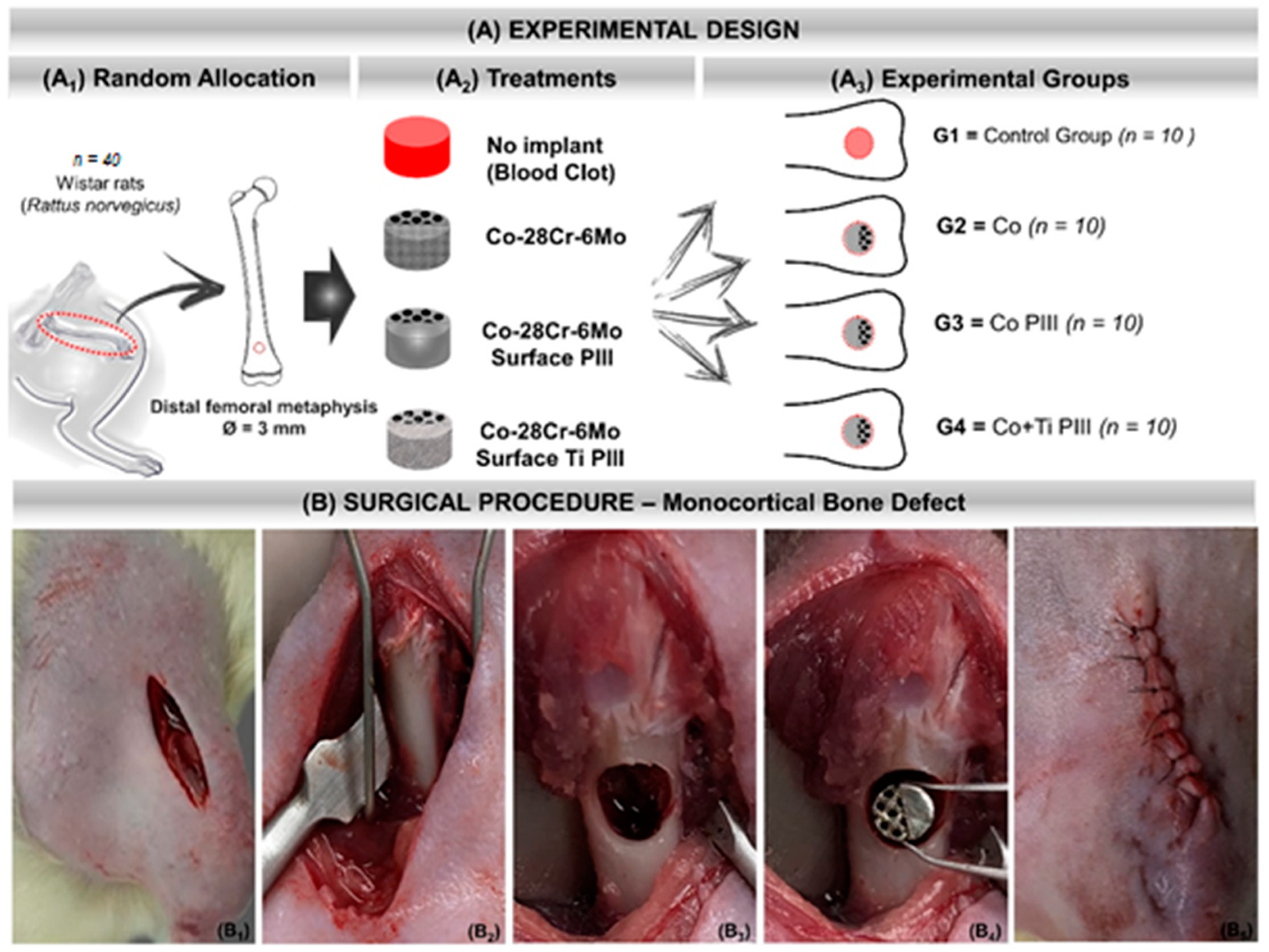 Pharmaceutics 13 00724 g001 Pharmaceutics 13 00724 g001
