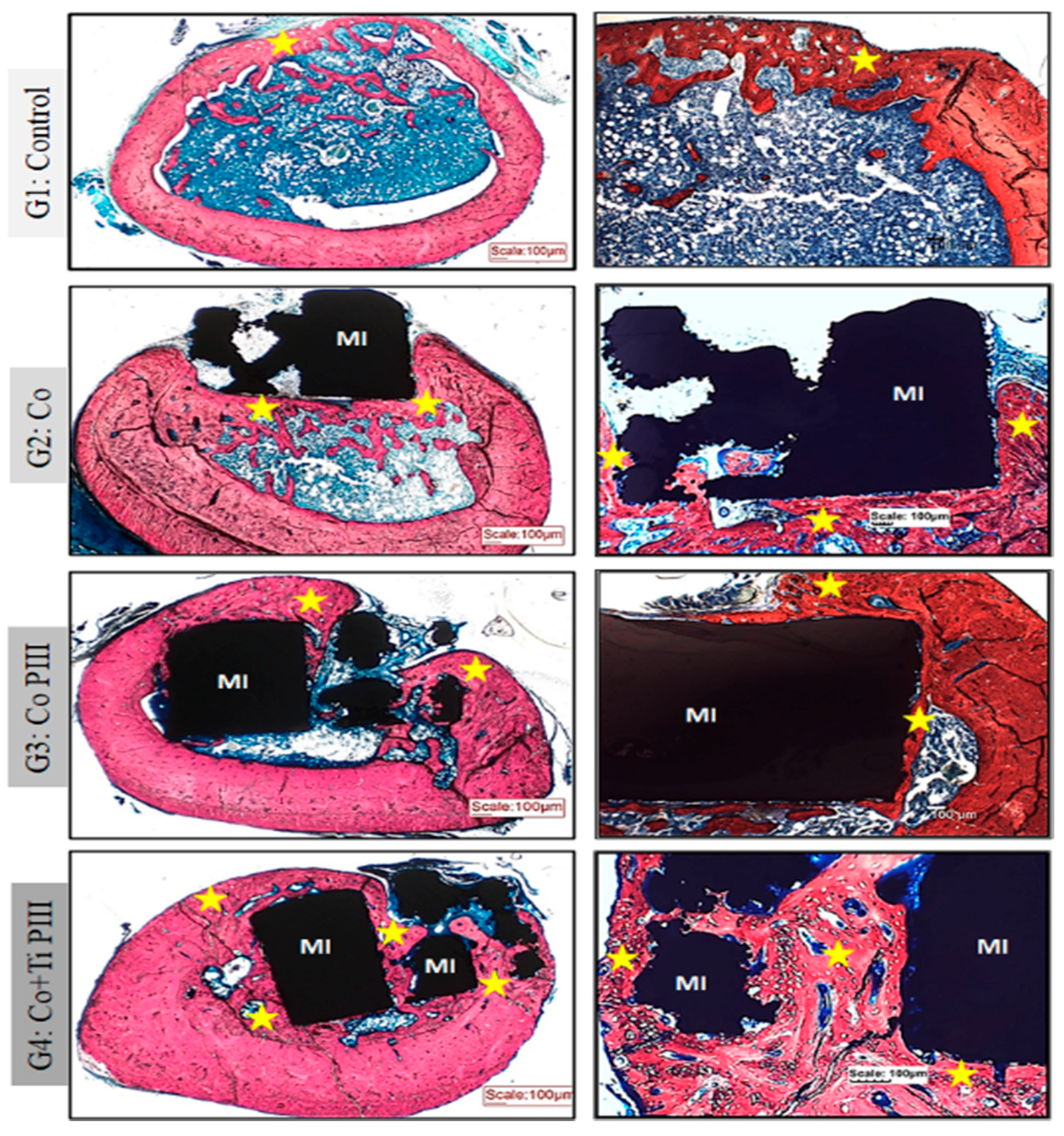 Pharmaceutics 13 00724 g005 Pharmaceutics 13 00724 g005