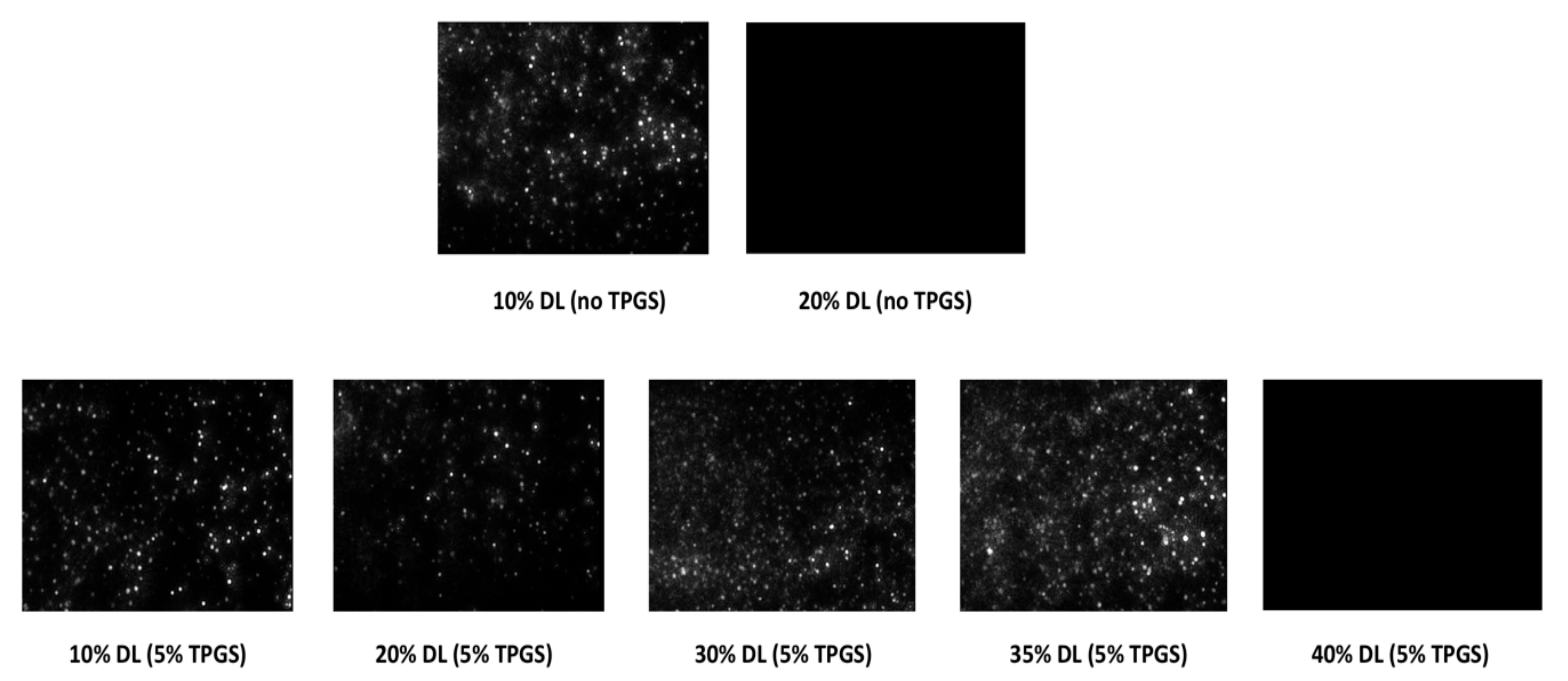 Pharmaceutics 13 00735 g008