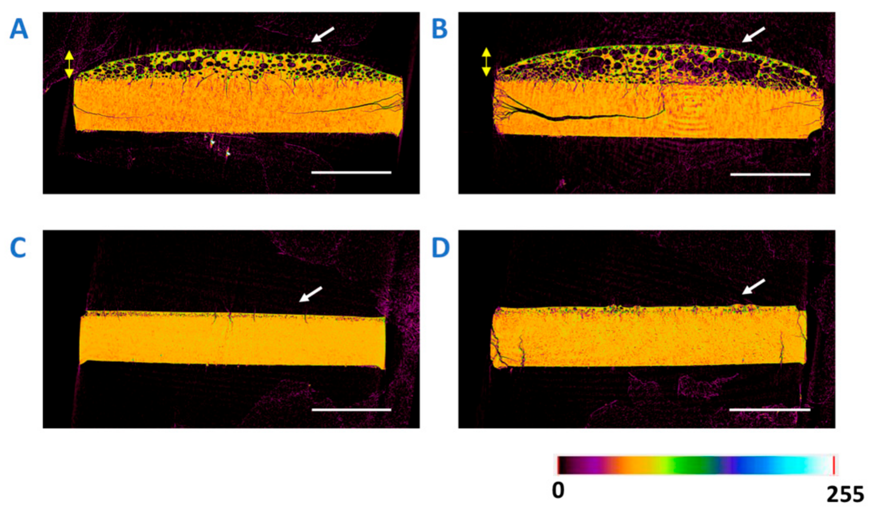 Pharmaceutics 13 00735 g010
