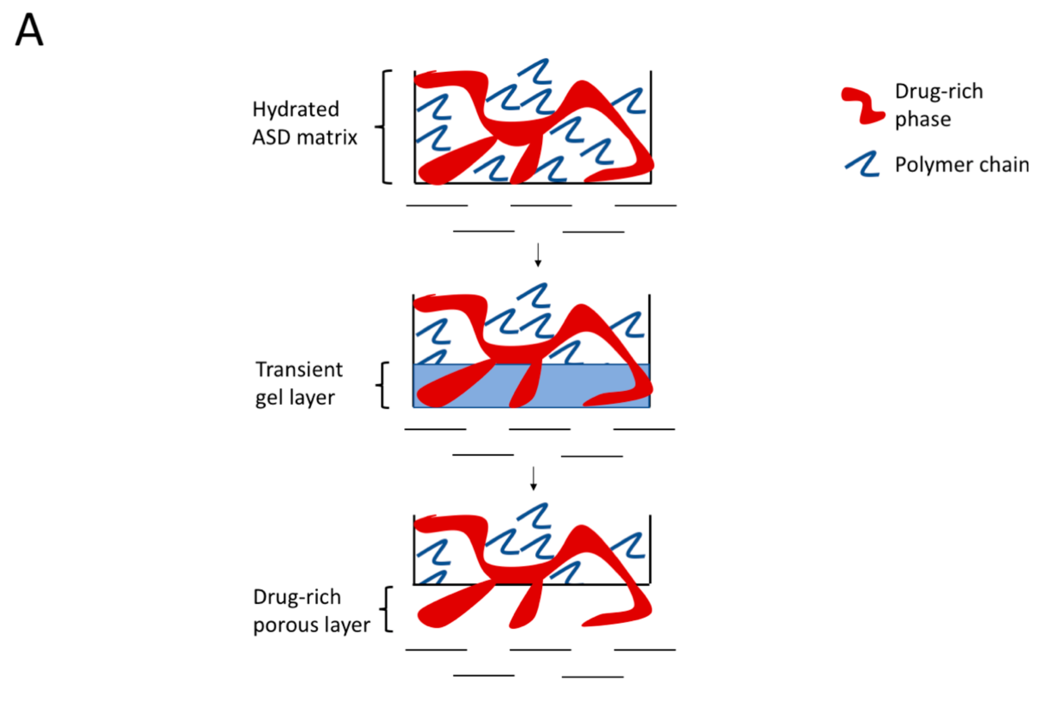 Pharmaceutics 13 00735 g014a