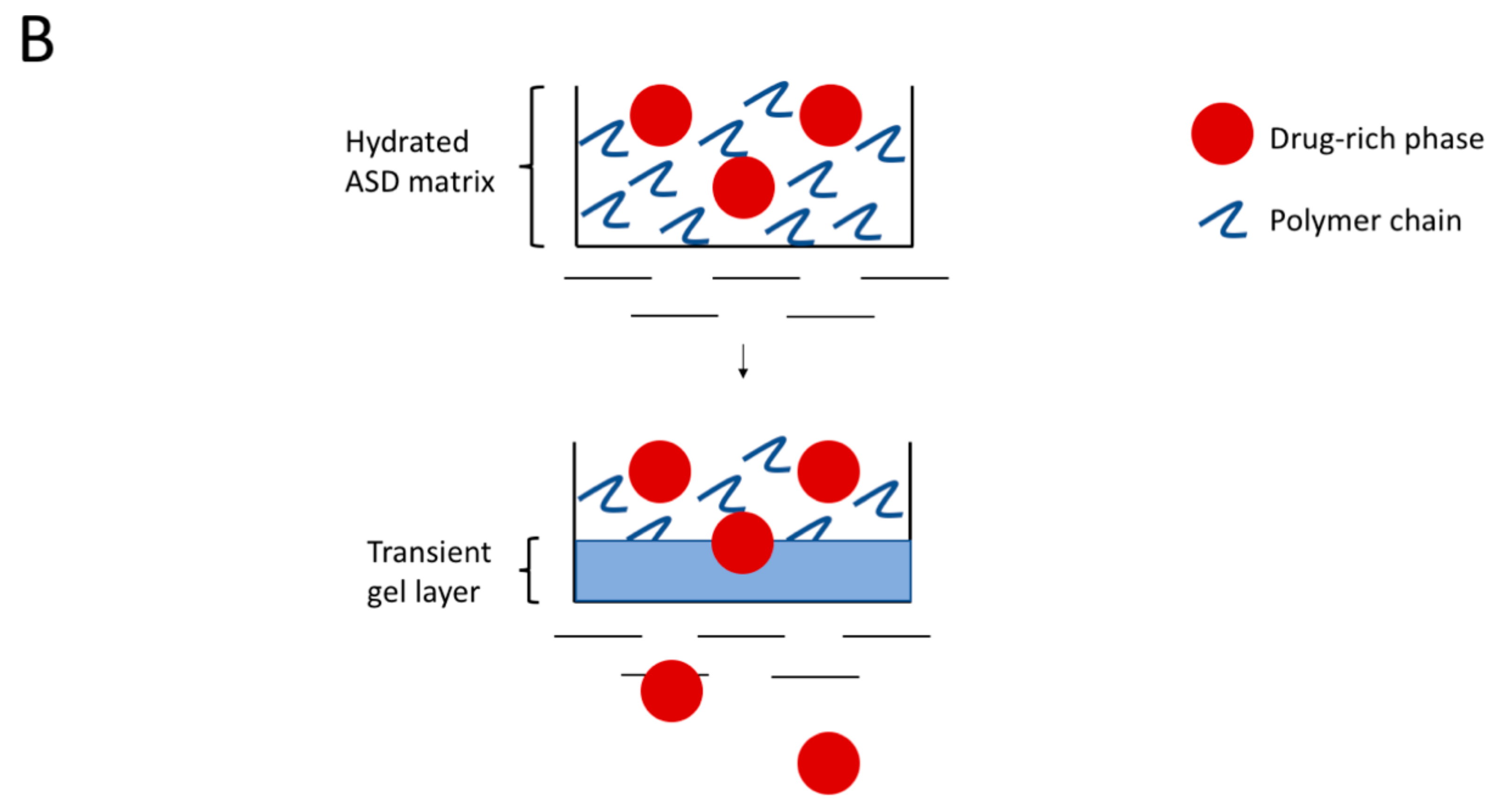 Pharmaceutics 13 00735 g014b