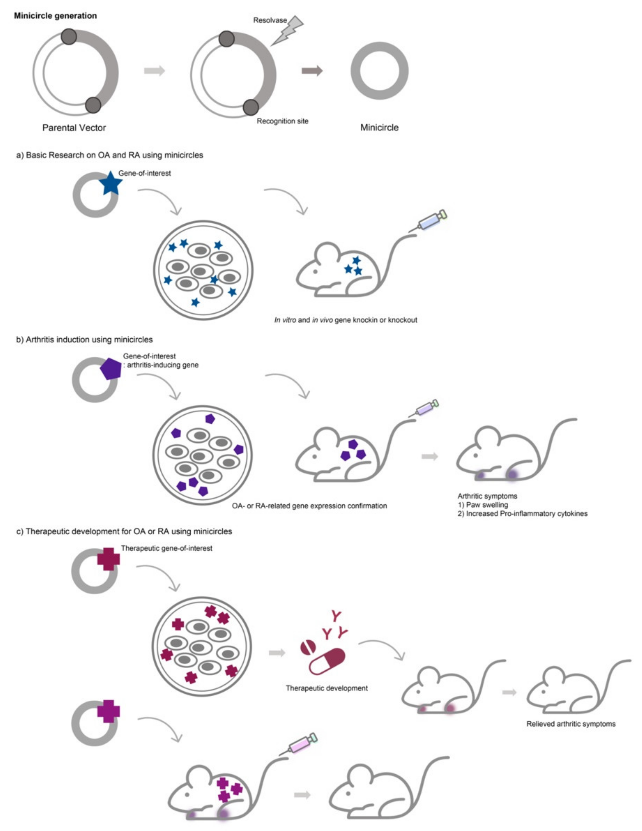 Pharmaceutics 13 00736 g001 Pharmaceutics 13 00736 g001