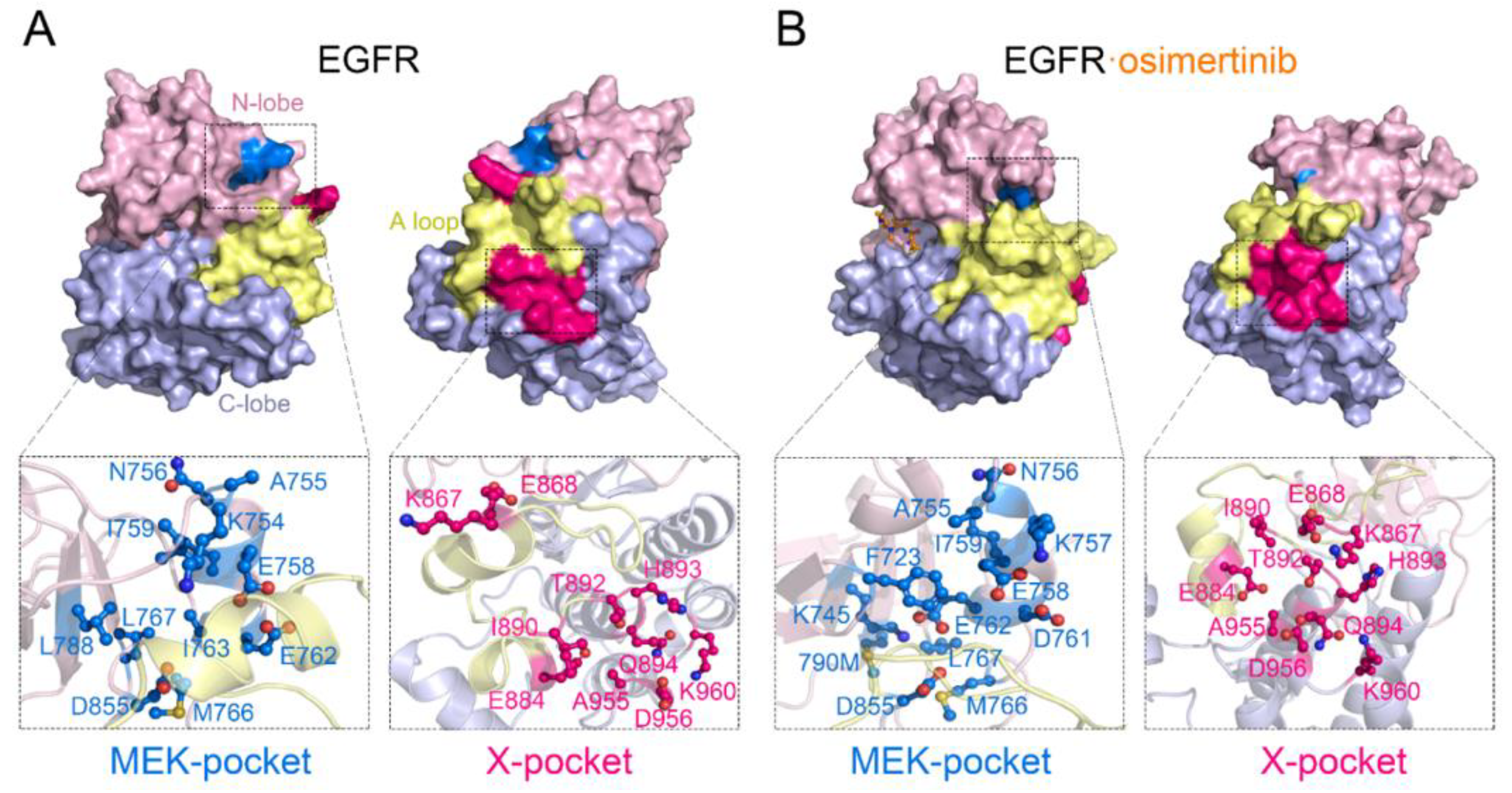 Pharmaceutics 13 00747 g008 Pharmaceutics 13 00747 g008