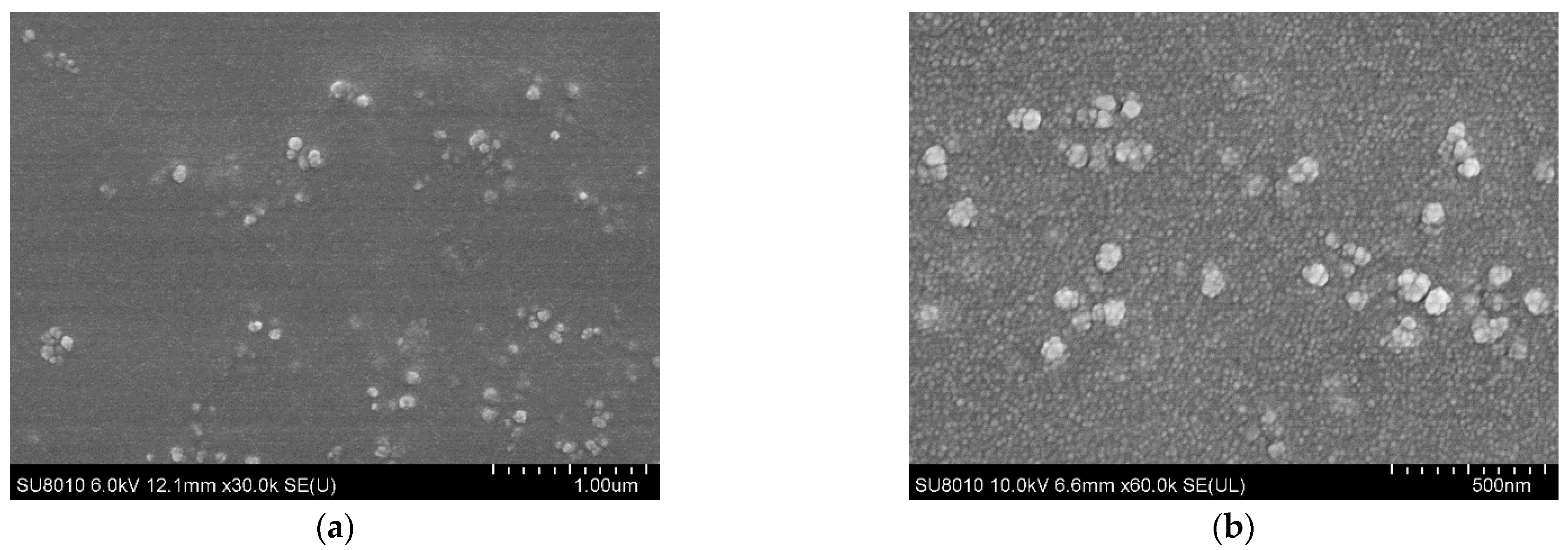 Pharmaceutics 13 00752 g002
