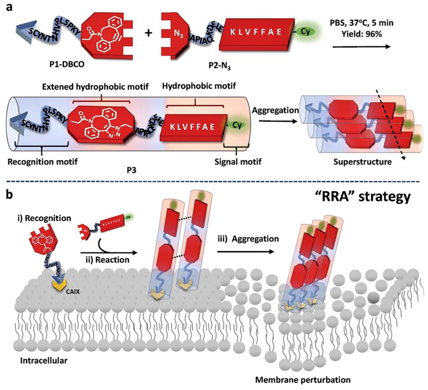 Pharmaceutics 13 00753 g002