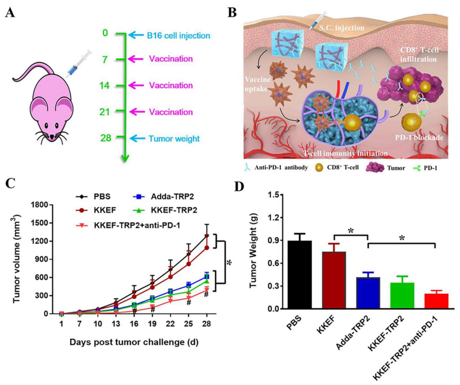 Pharmaceutics 13 00753 g004