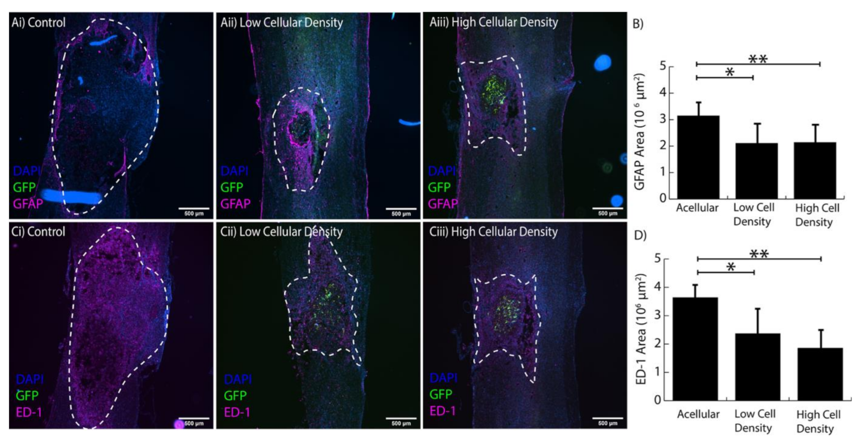 Pharmaceutics 13 00753 g005