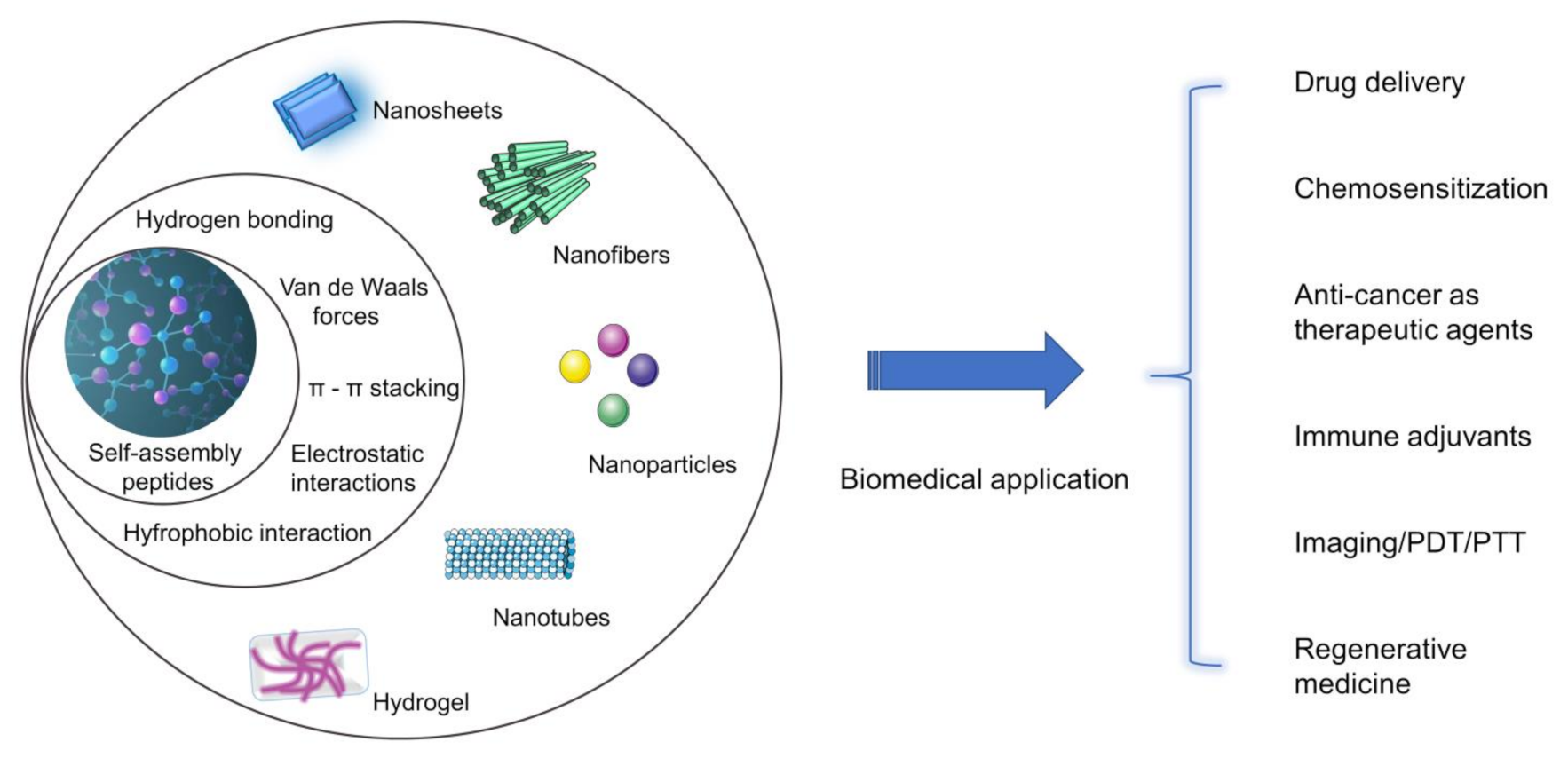 Pharmaceutics 13 00753 sch001
