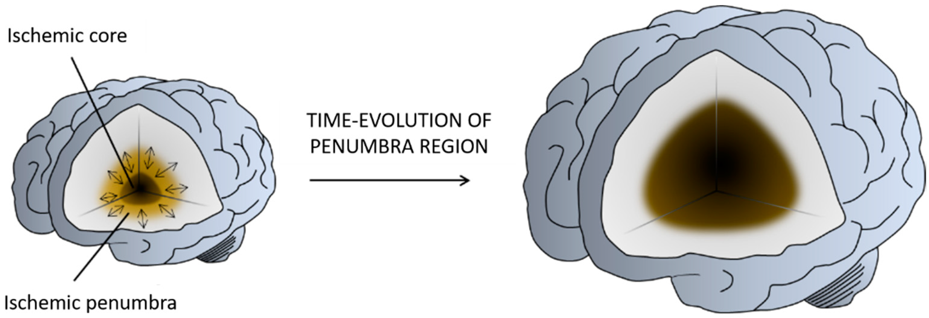 Pharmaceutics 13 00757 g002 Pharmaceutics 13 00757 g002