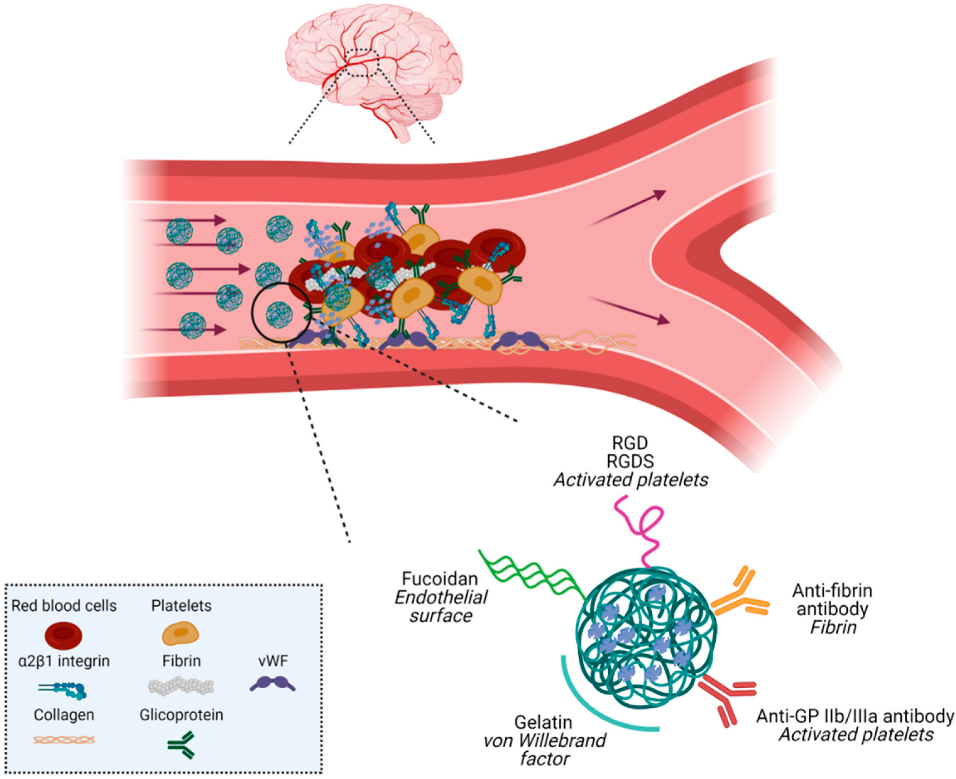 Pharmaceutics 13 00757 g006 Pharmaceutics 13 00757 g006