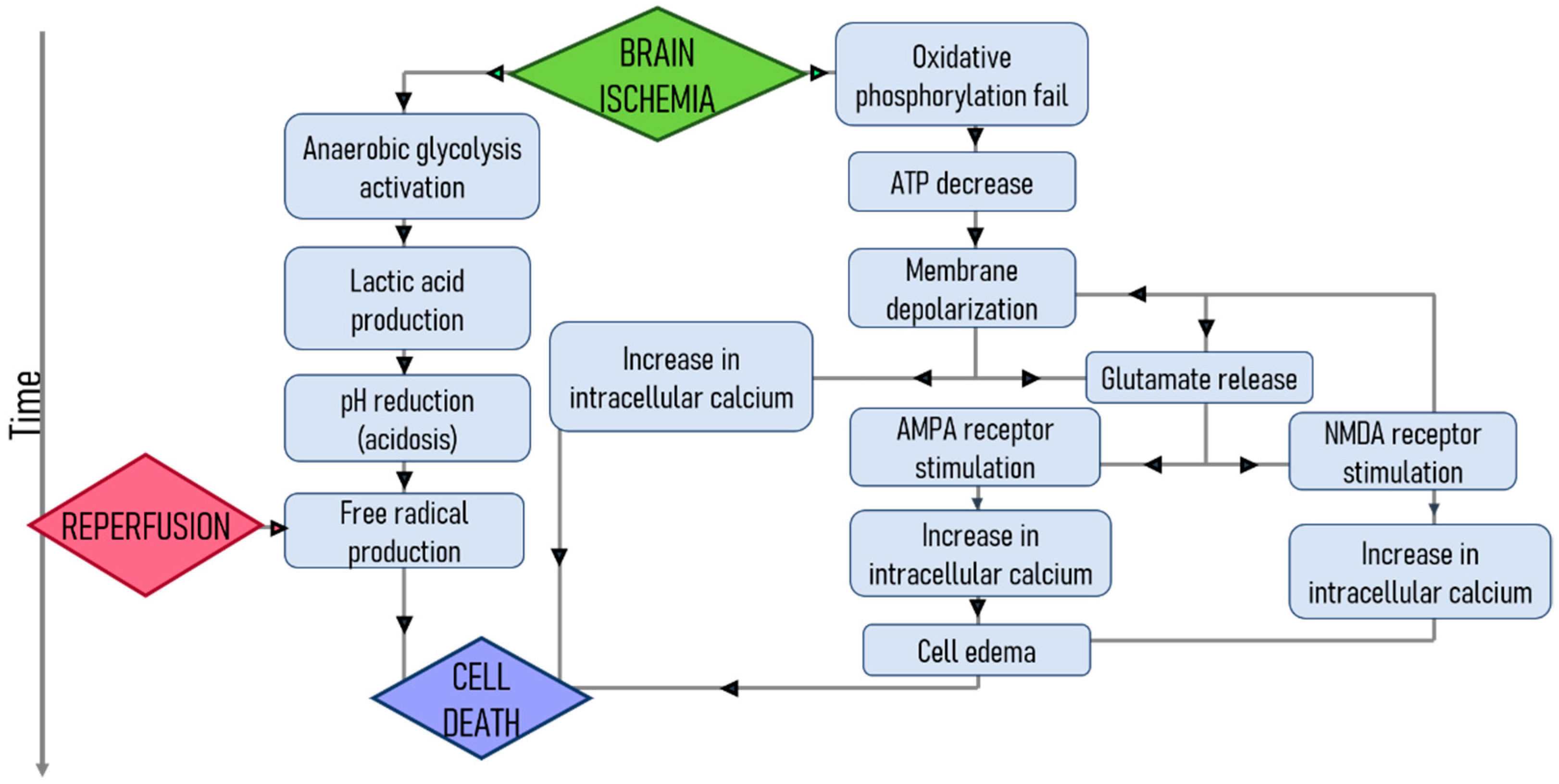 Pharmaceutics 13 00757 g009 Pharmaceutics 13 00757 g009