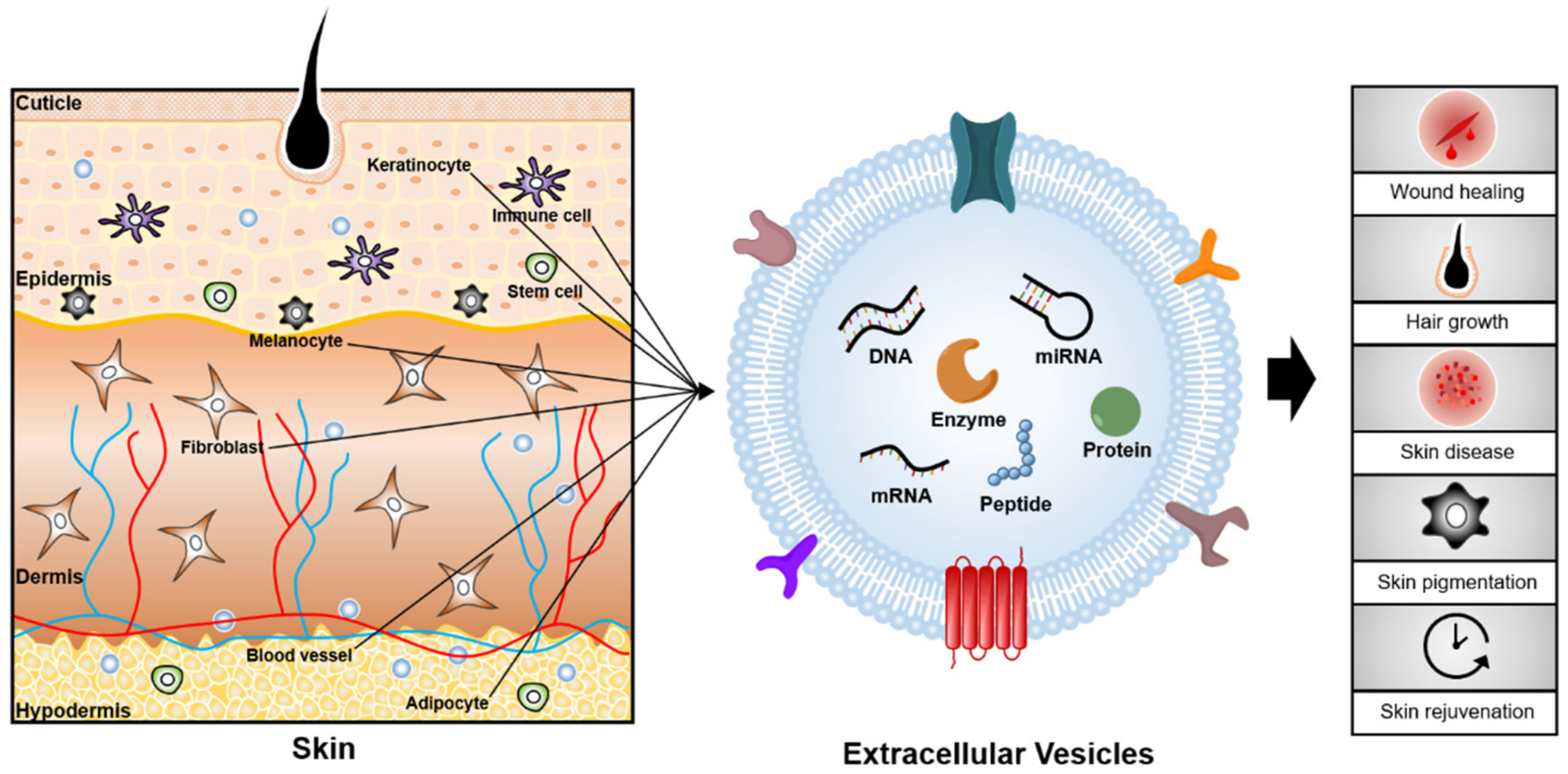 Pharmaceutics 13 00760 g001 Pharmaceutics 13 00760 g001