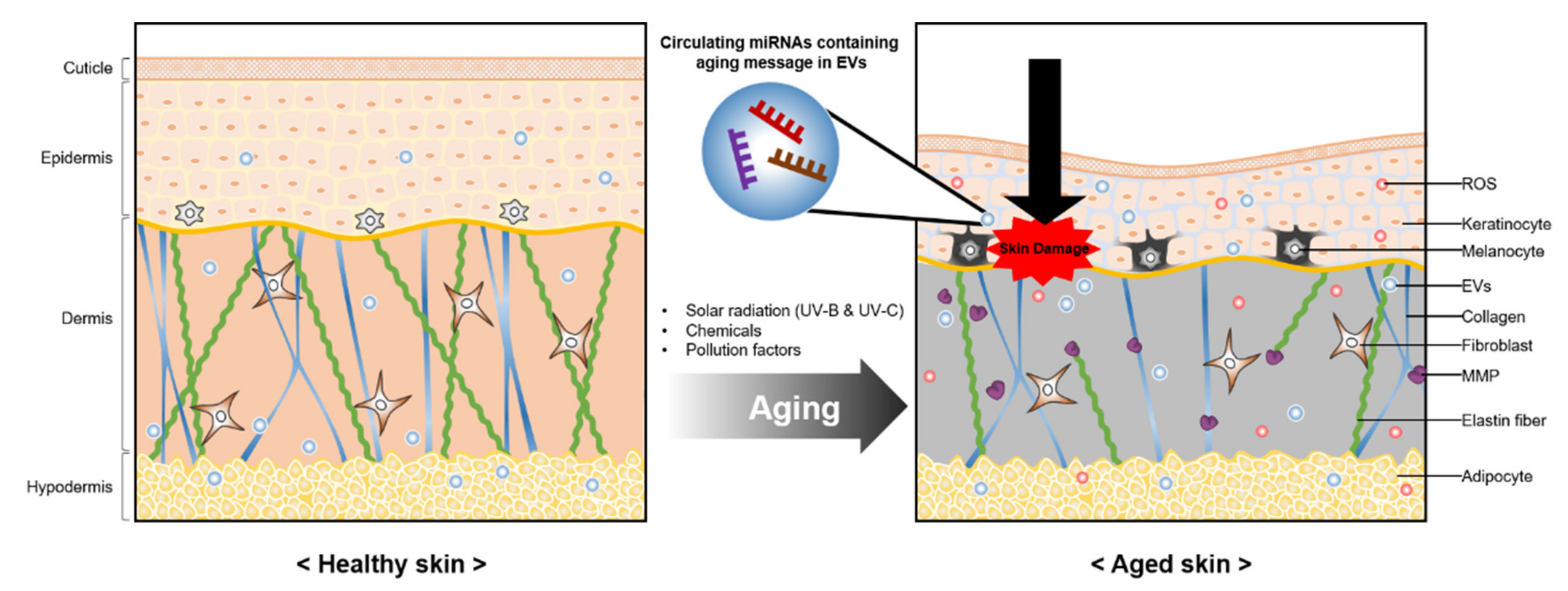 Pharmaceutics 13 00760 g002 Pharmaceutics 13 00760 g002