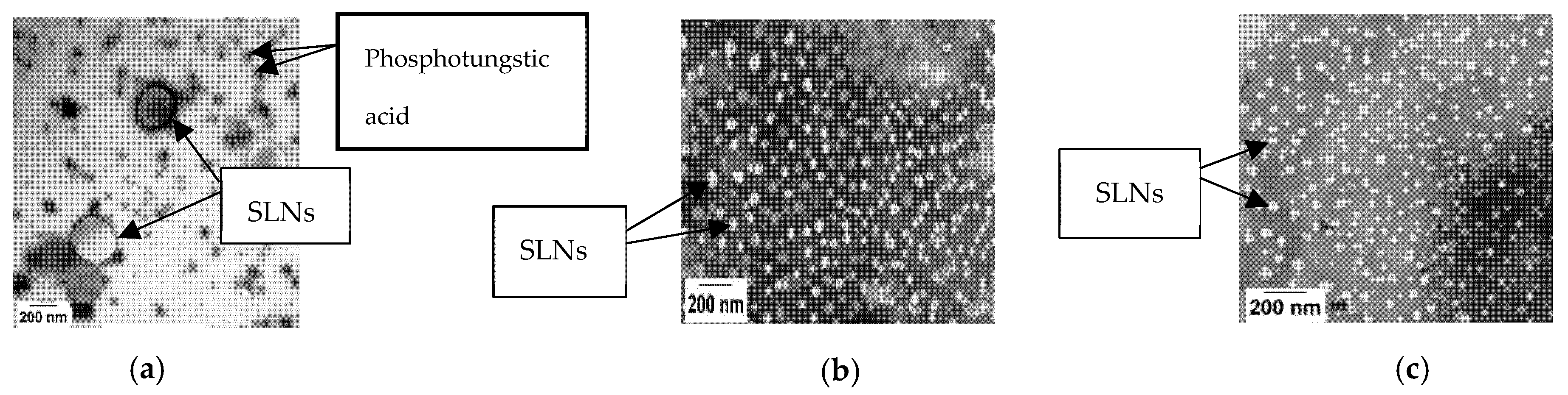 Pharmaceutics 13 00761 g001