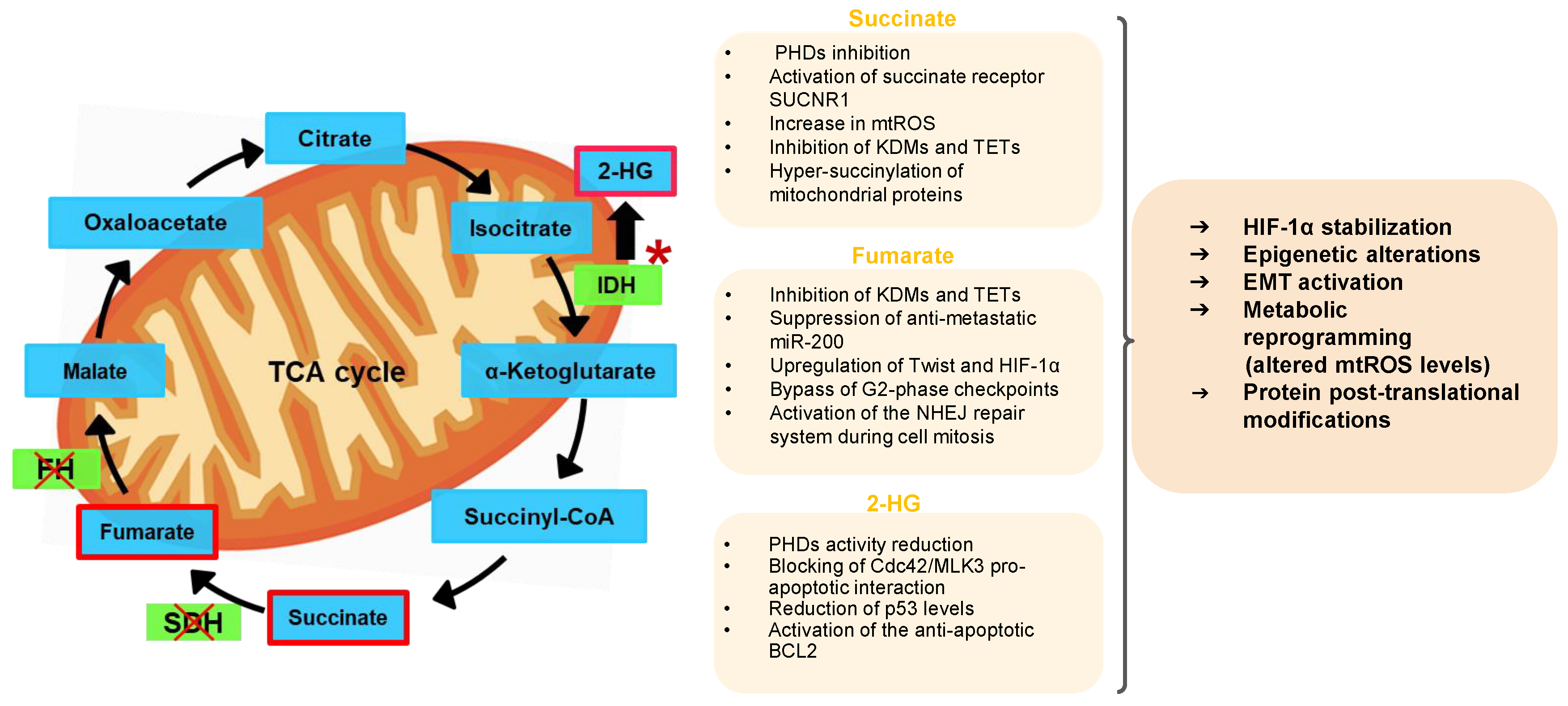 Pharmaceutics 13 00762 g001 Pharmaceutics 13 00762 g001