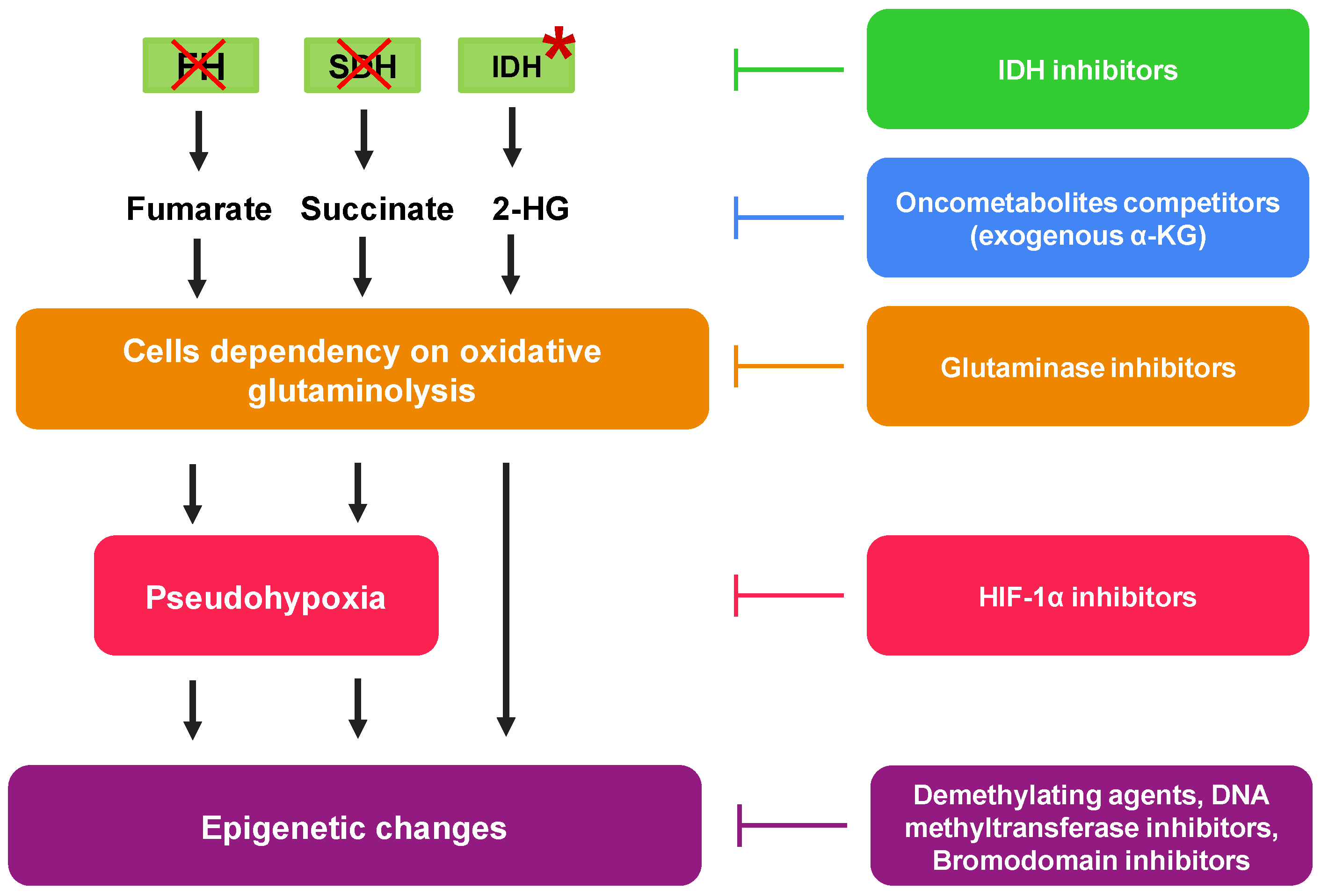 Pharmaceutics 13 00762 g003 Pharmaceutics 13 00762 g003