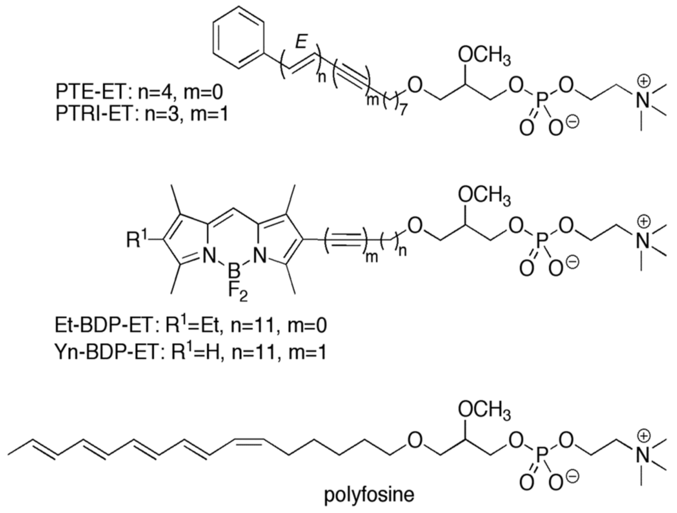 Pharmaceutics 13 00763 g003 Pharmaceutics 13 00763 g003