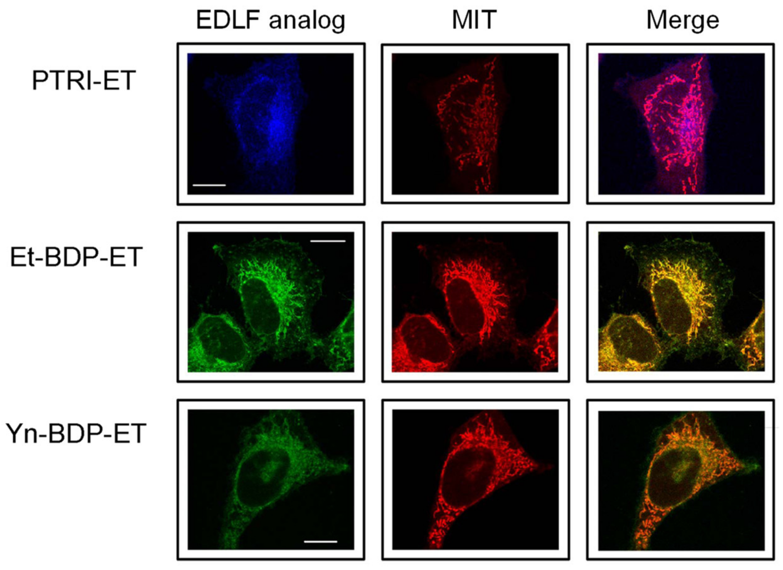Pharmaceutics 13 00763 g004 Pharmaceutics 13 00763 g004