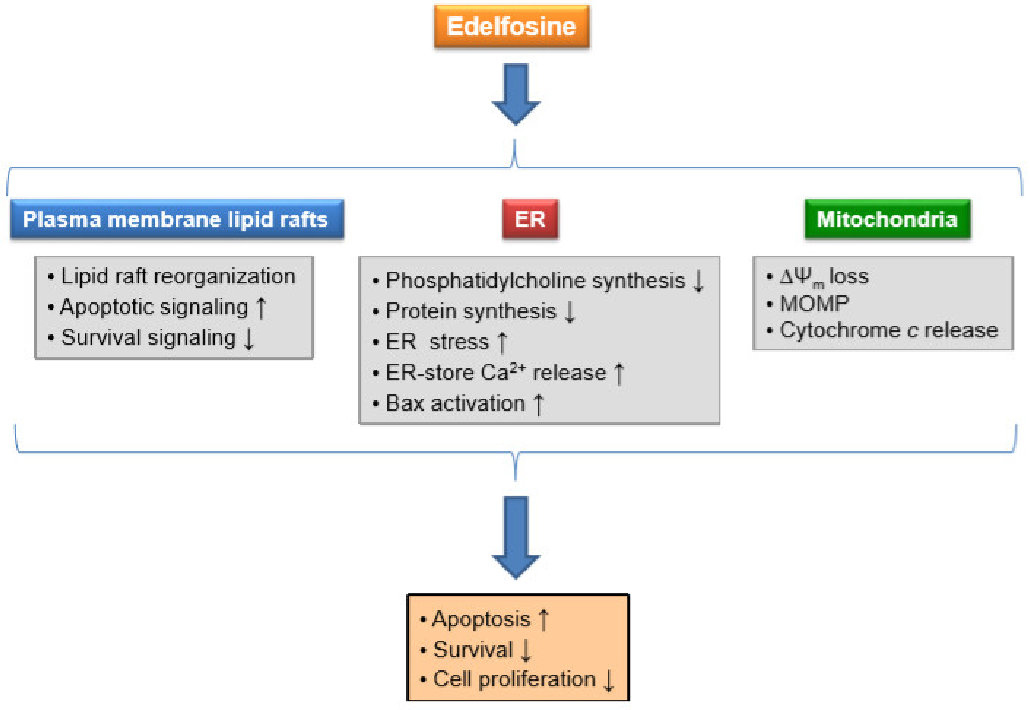 Pharmaceutics 13 00763 g007 Pharmaceutics 13 00763 g007