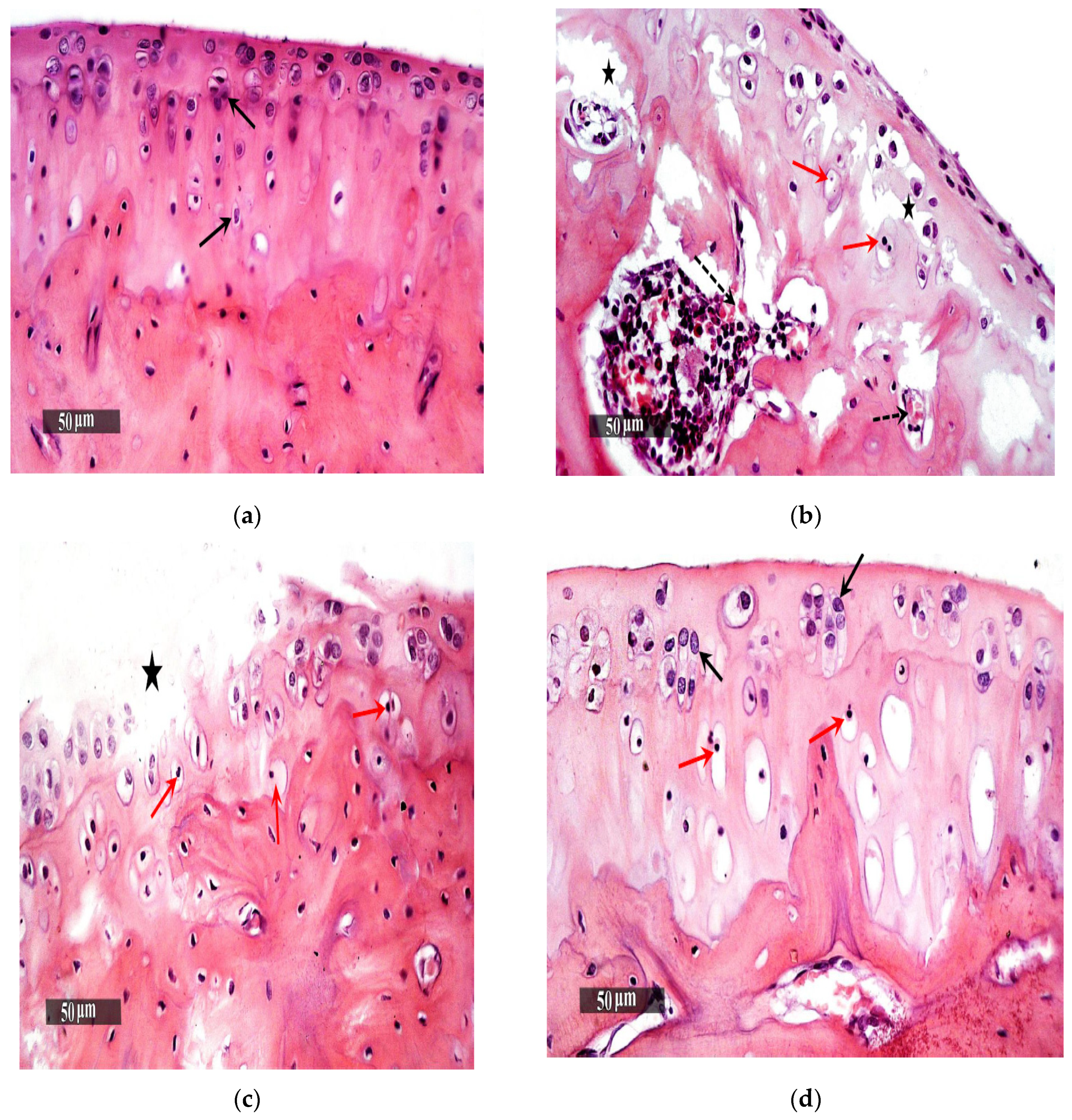 Pharmaceutics 13 00765 g008a