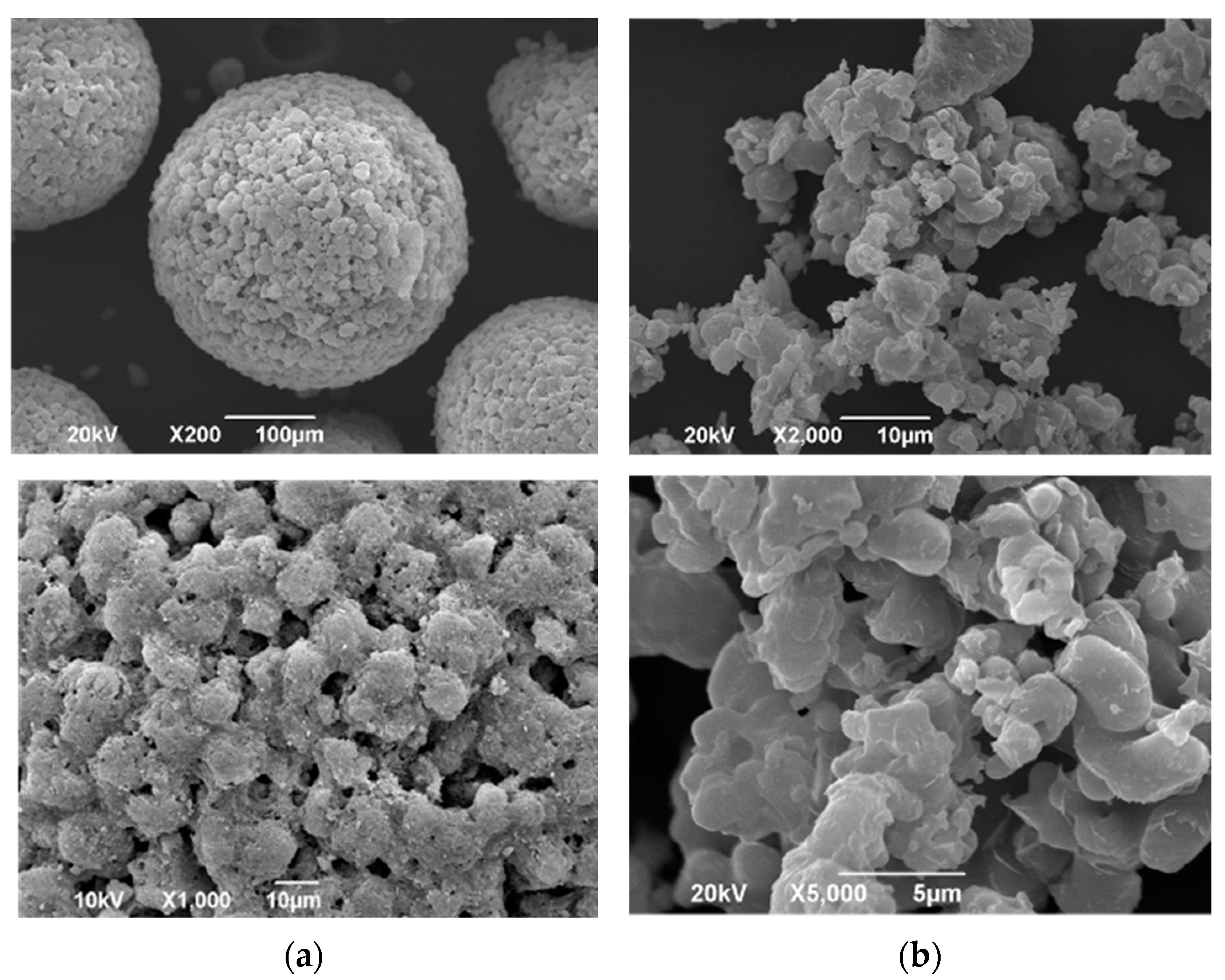 Pharmaceutics 13 00767 g001 Pharmaceutics 13 00767 g001
