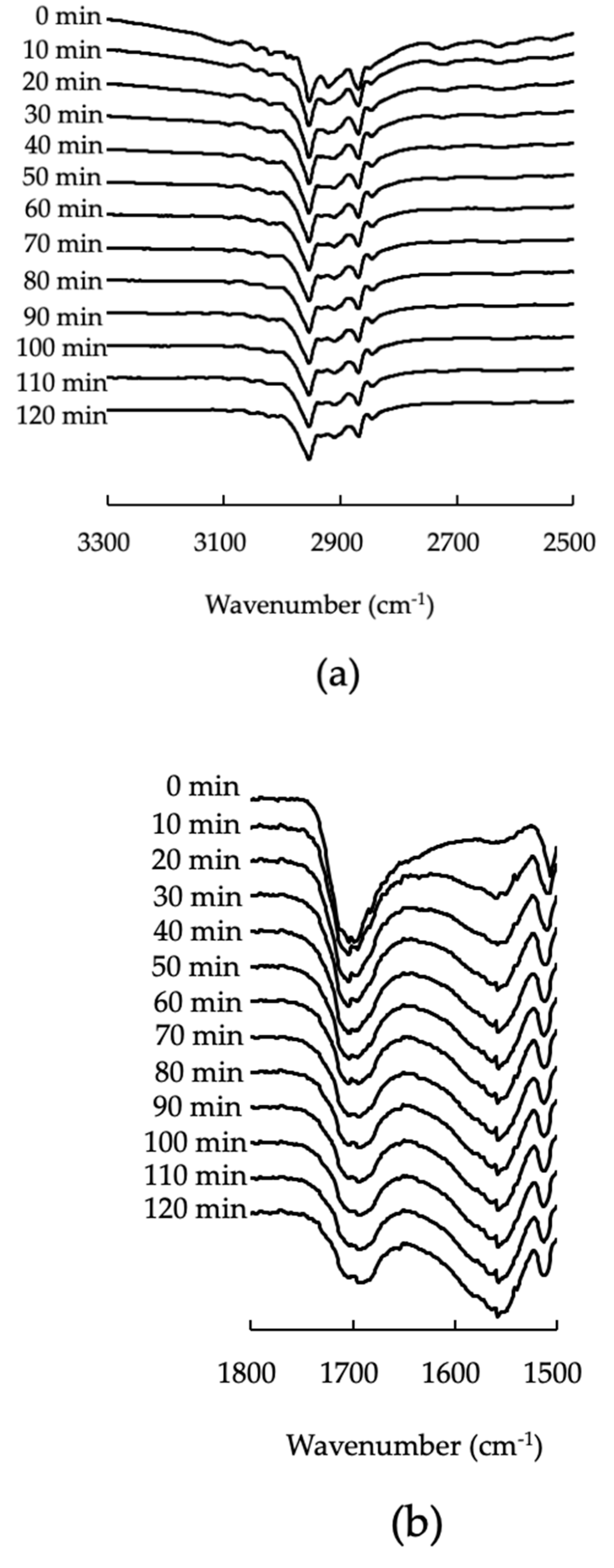 Pharmaceutics 13 00767 g007 Pharmaceutics 13 00767 g007