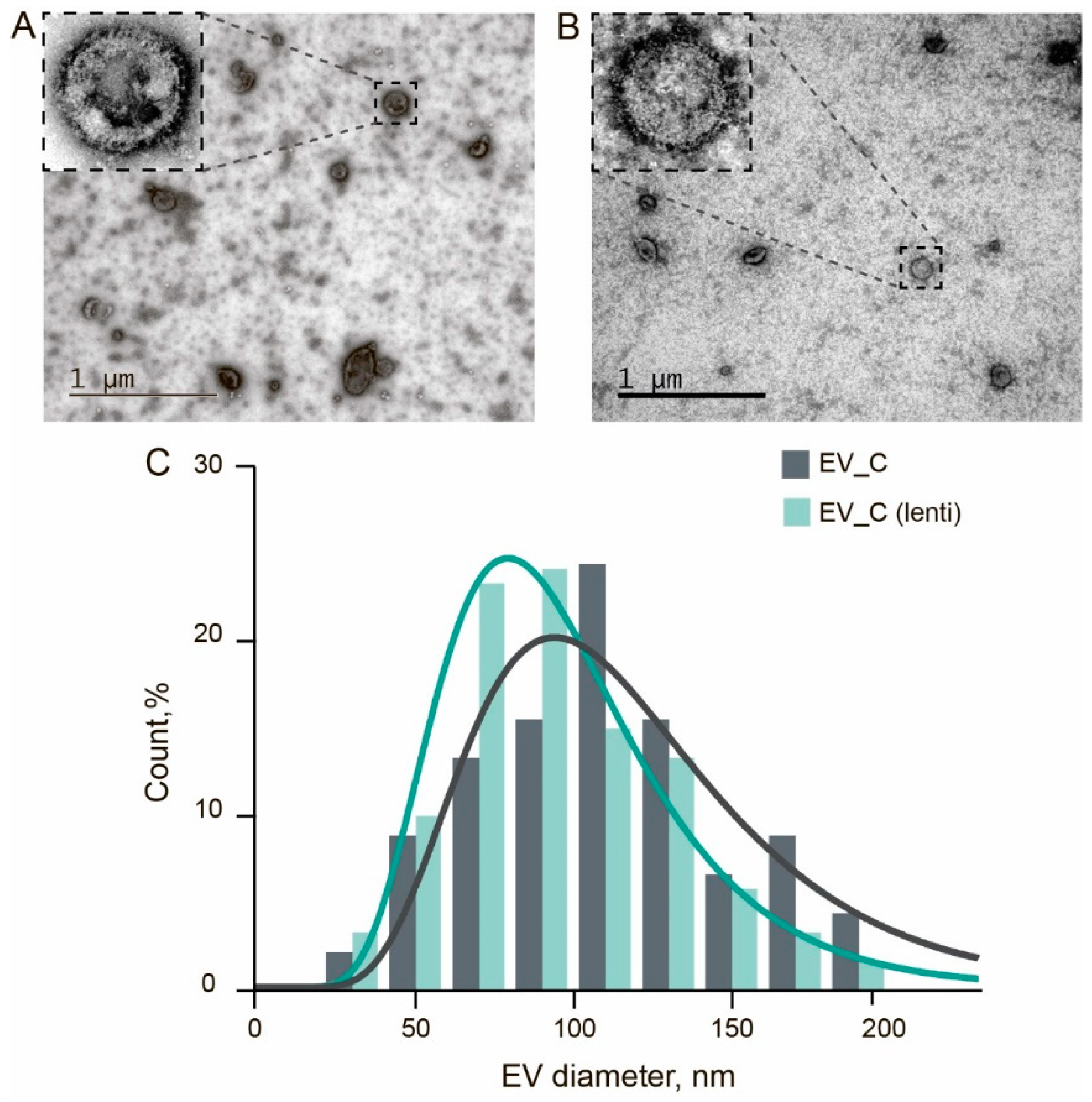 Pharmaceutics 13 00768 g005 Pharmaceutics 13 00768 g005