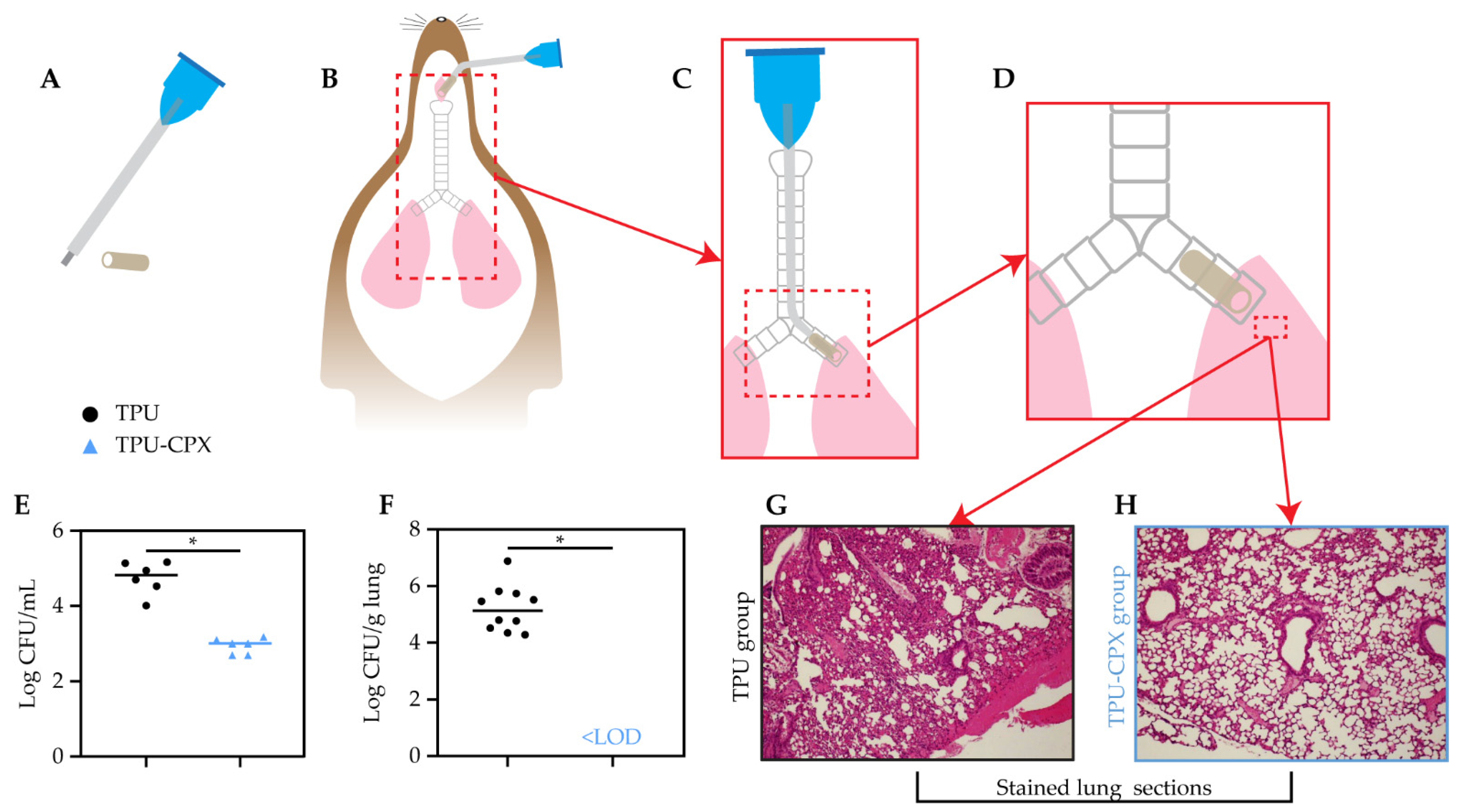 Pharmaceutics 13 00772 g003
