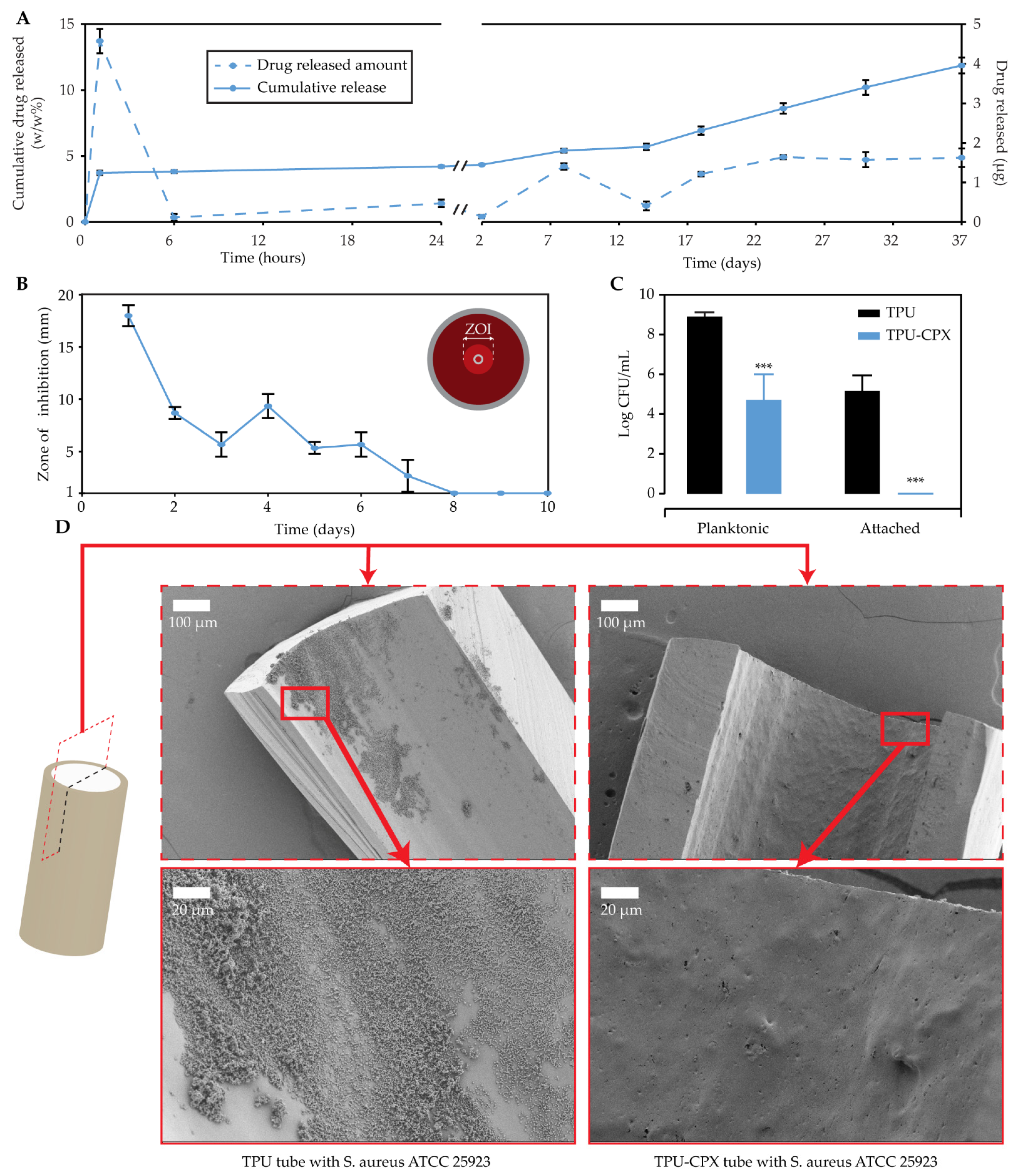 Pharmaceutics 13 00772 g005