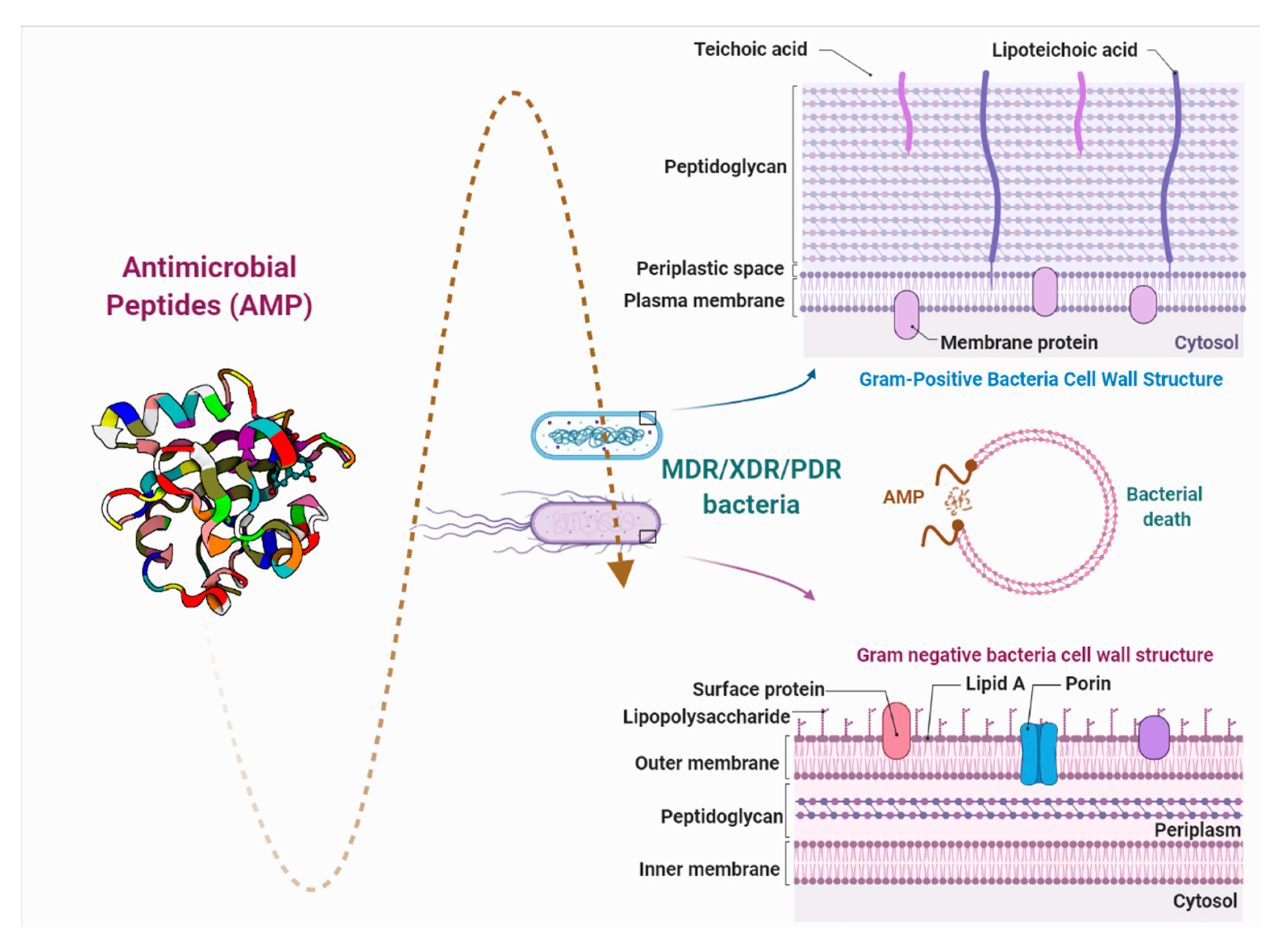 Pharmaceutics 13 00773 g001