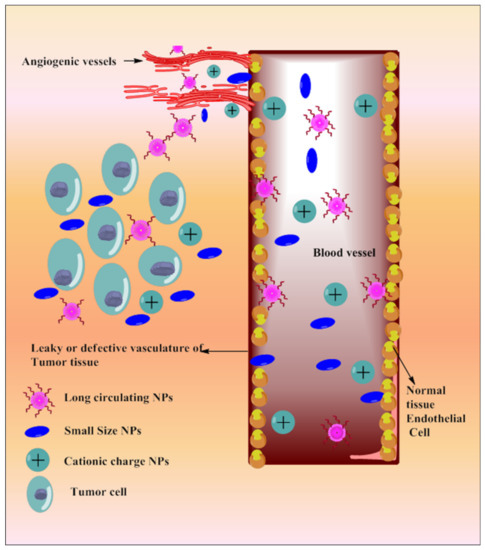 Pharmaceutics 13 00775 g005 550