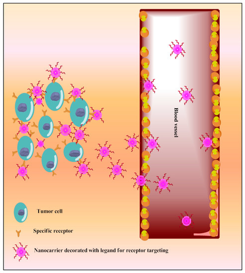 Pharmaceutics 13 00775 g006 550