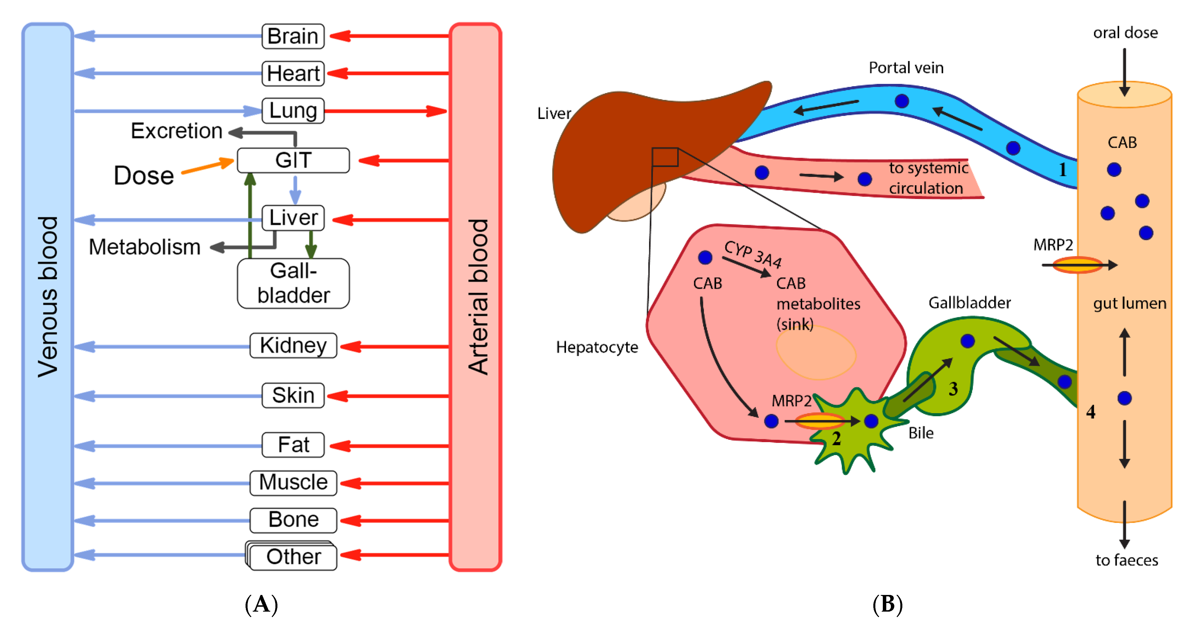 Pharmaceutics 13 00778 g006