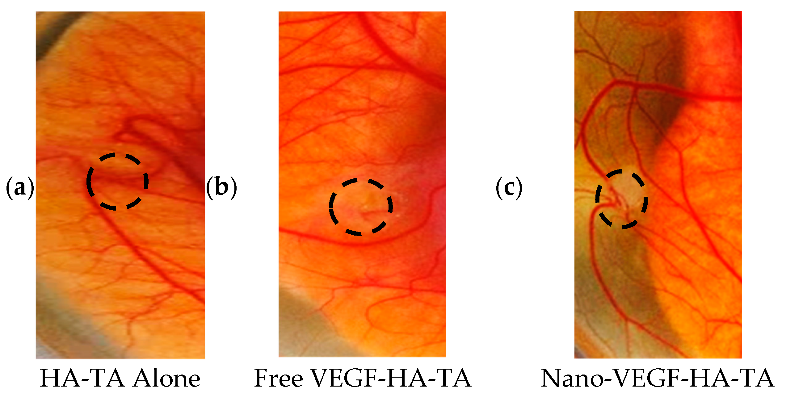 Pharmaceutics 13 00779 g003 Pharmaceutics 13 00779 g003