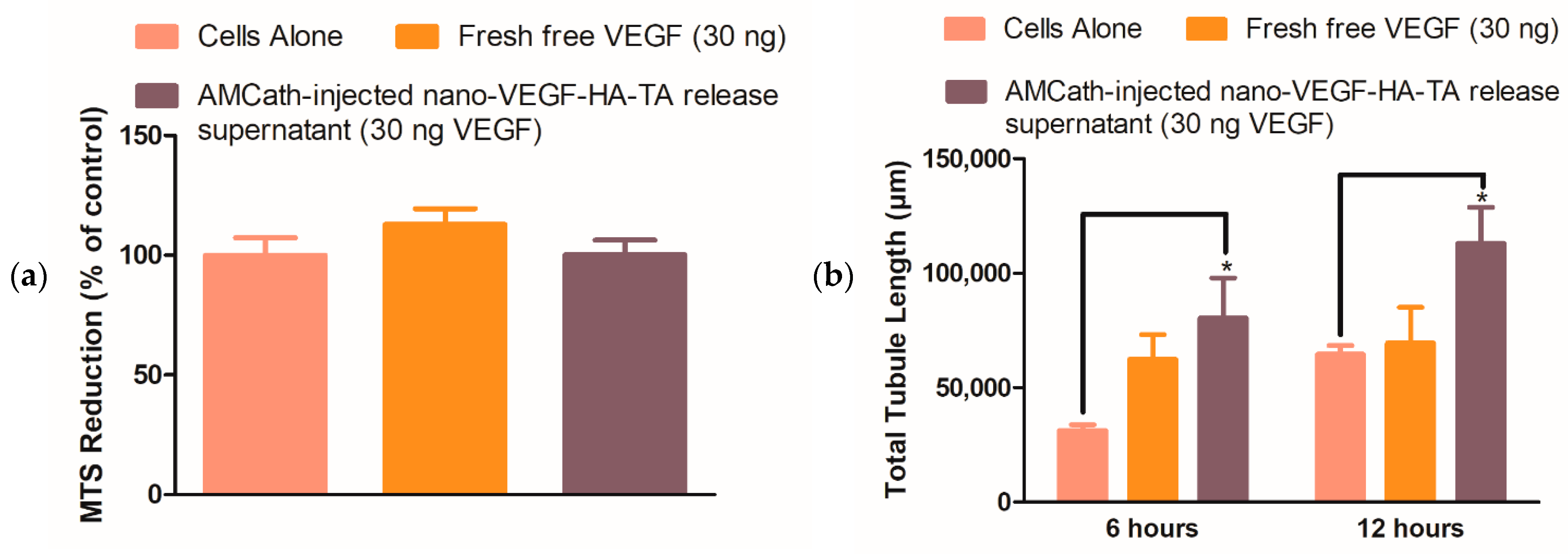 Pharmaceutics 13 00779 g007a Pharmaceutics 13 00779 g007a
