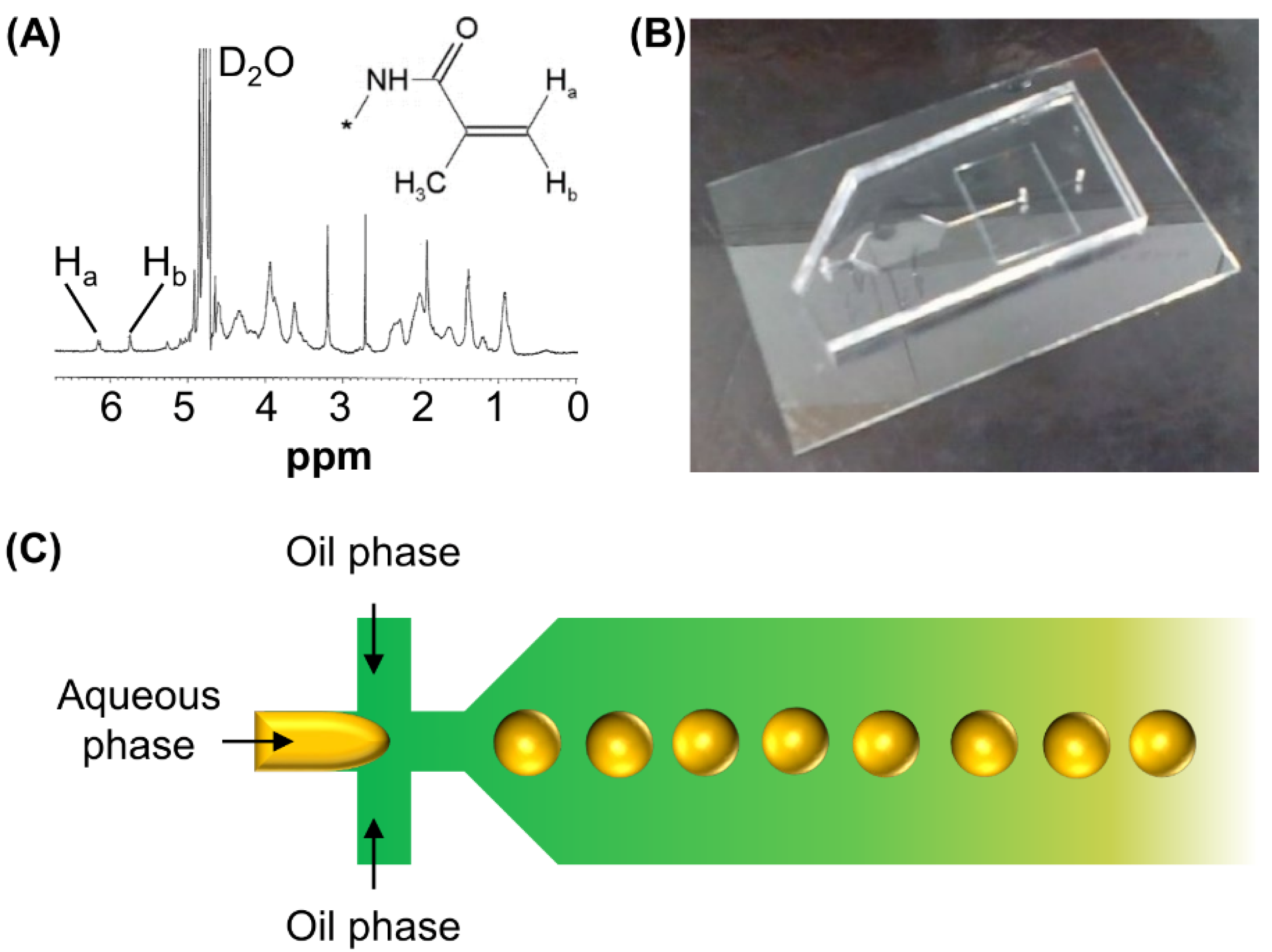 Pharmaceutics 13 00787 g001