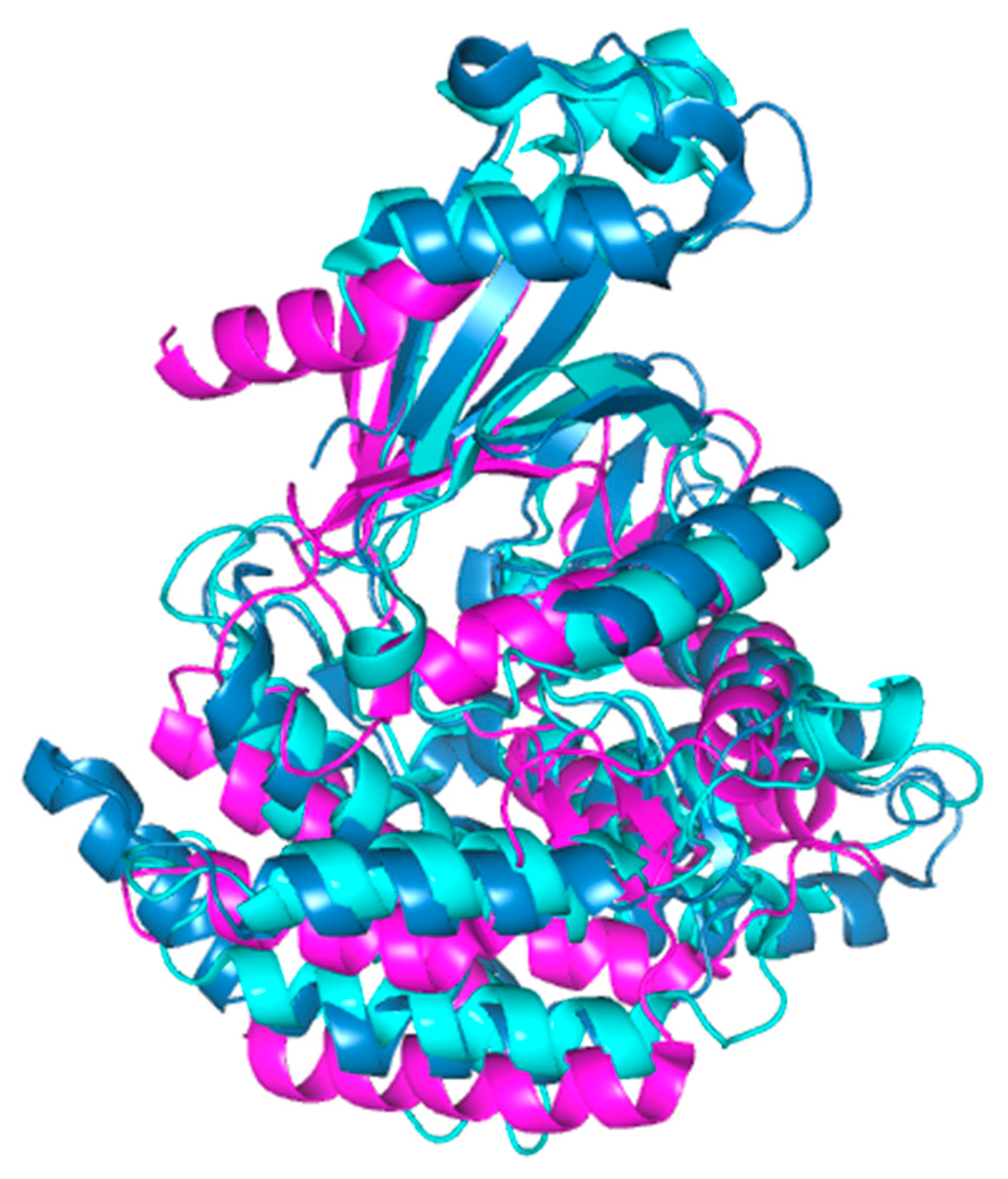 Pharmaceutics 13 00788 g005
