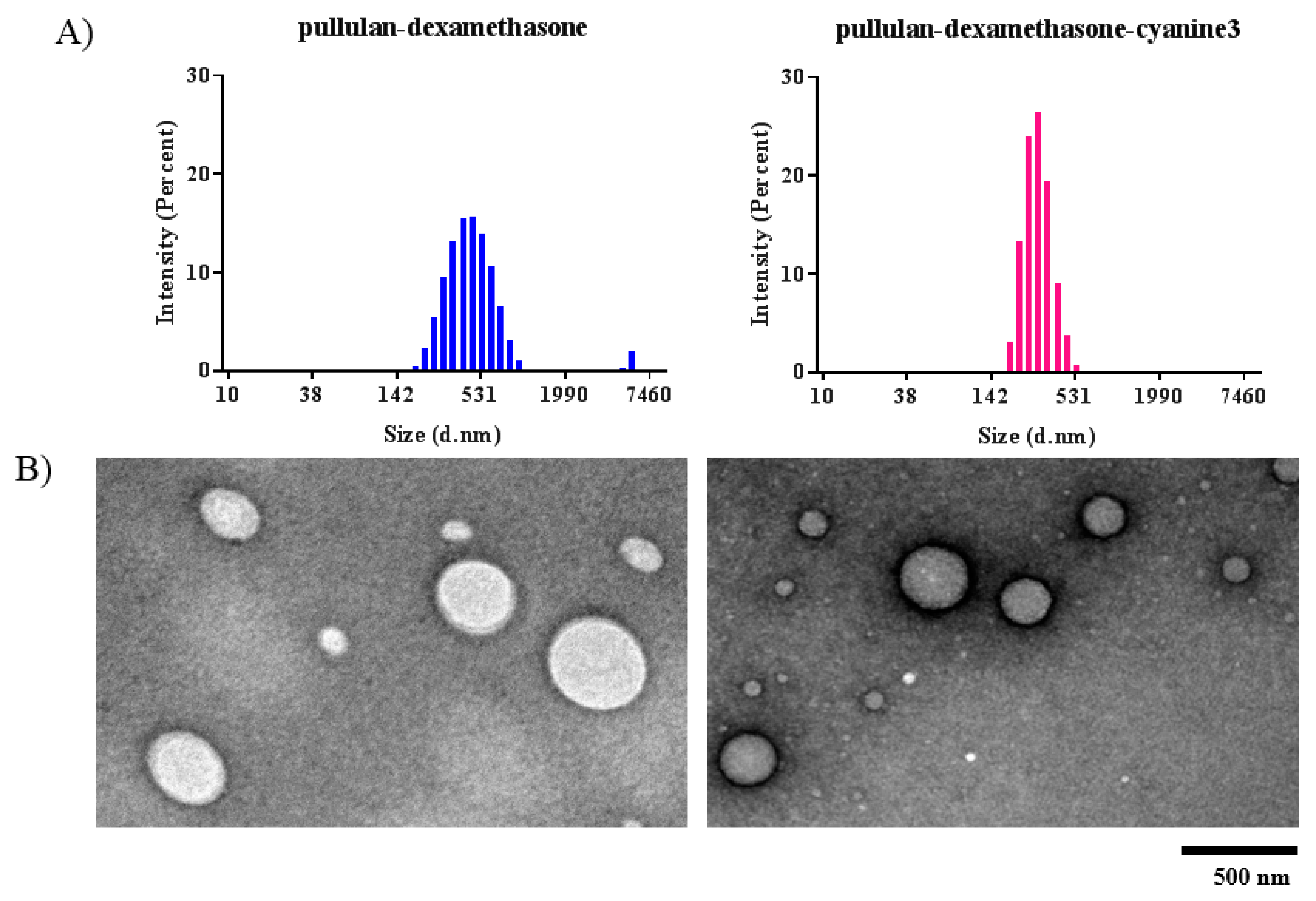 Pharmaceutics 13 00791 g003 Pharmaceutics 13 00791 g003
