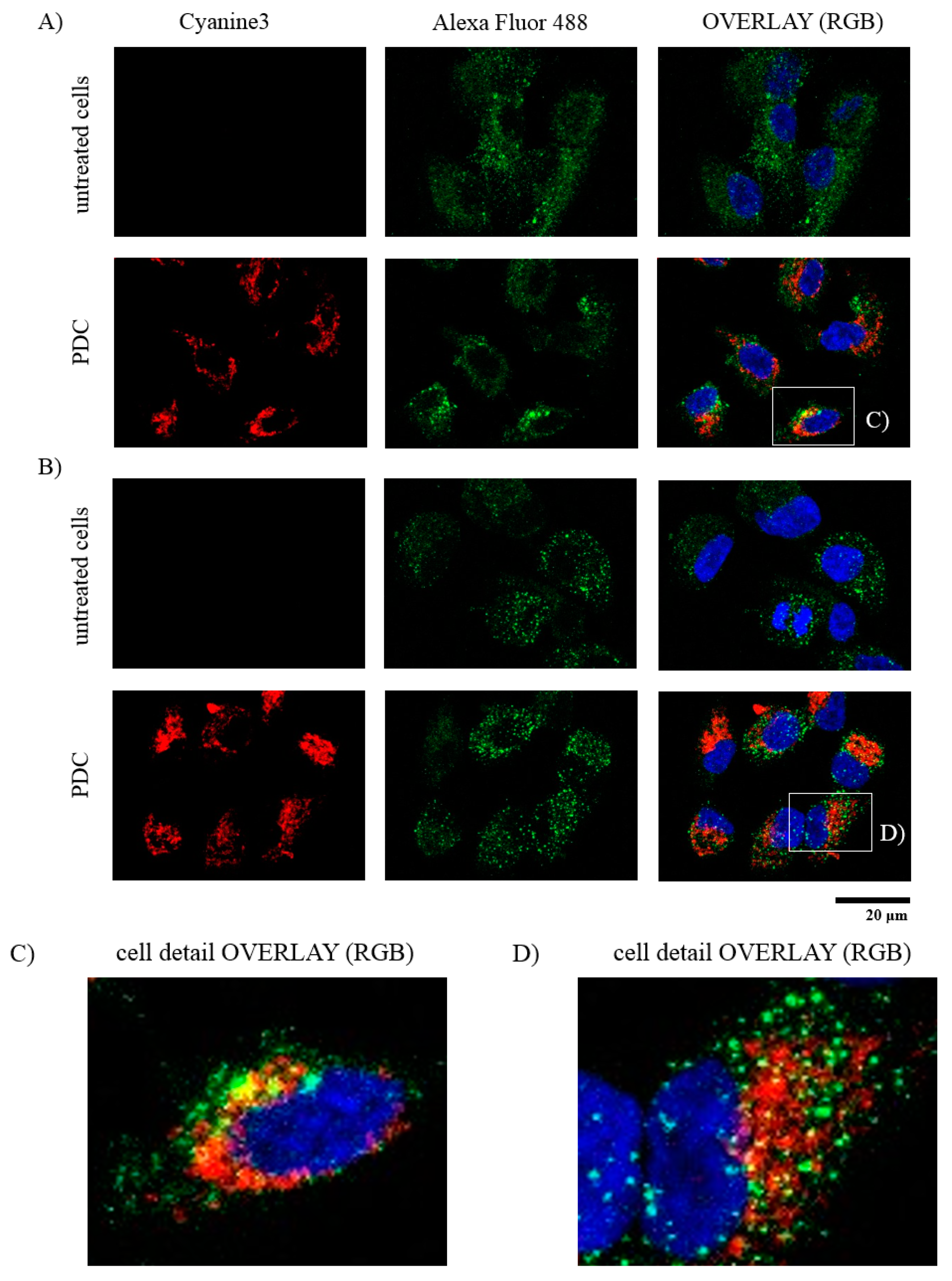 Pharmaceutics 13 00791 g008 Pharmaceutics 13 00791 g008